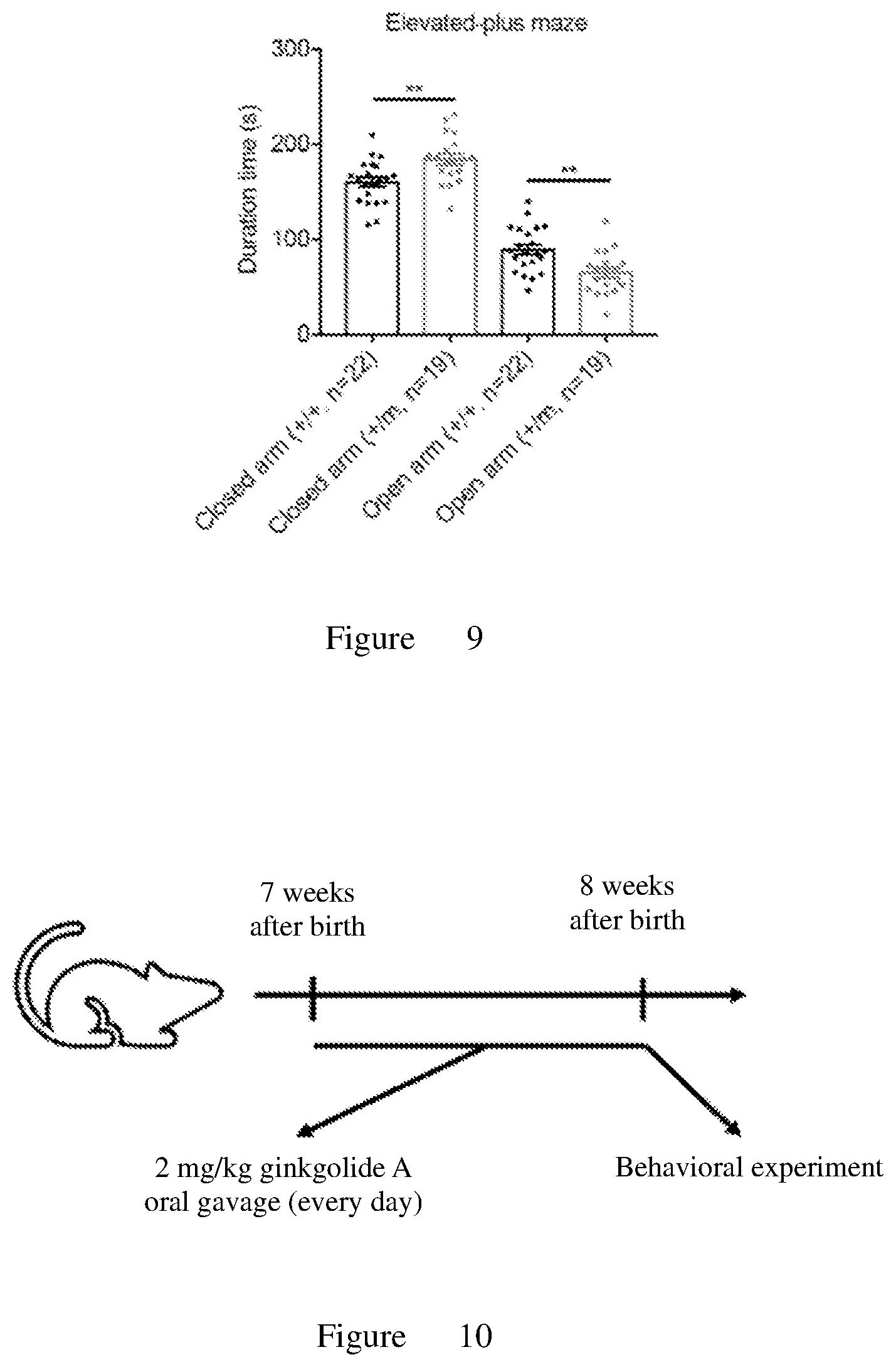 Patent US12611394 Figure 5 – Use of ginkgolide a in the treatment of autism