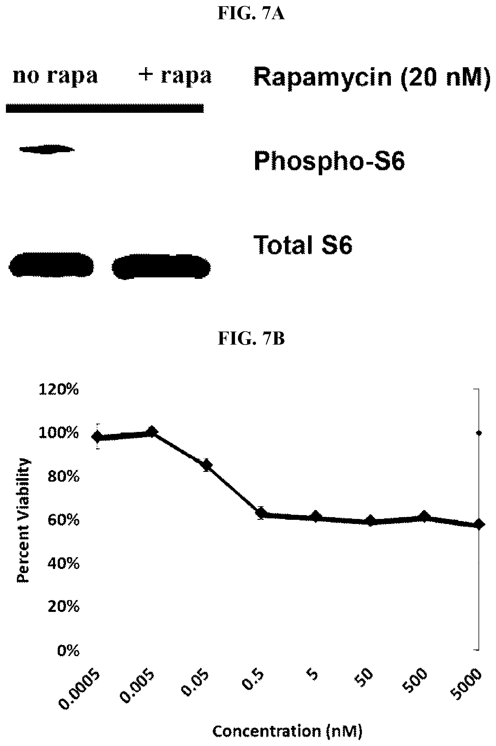 Patent US12611398 Figure 7 – Inhalable rapamycin formulation for the treatment of pulmonary hypertension