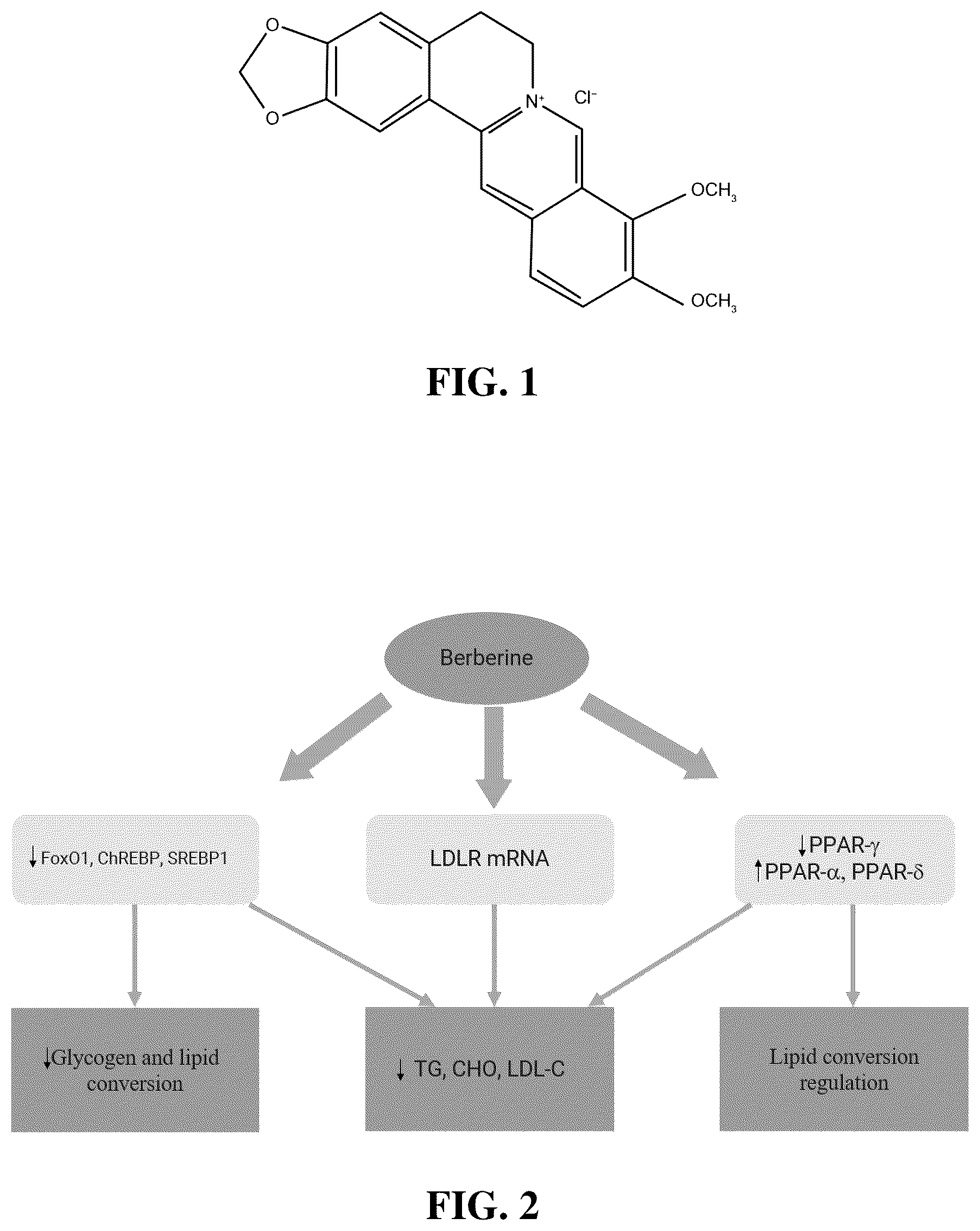 Patent US12611400 Figure 1 – Solid lipid nano-composition containing berberine and cinnamonaldehyde effective in treating diabetes, dyslipidemia, and method of preparing the same