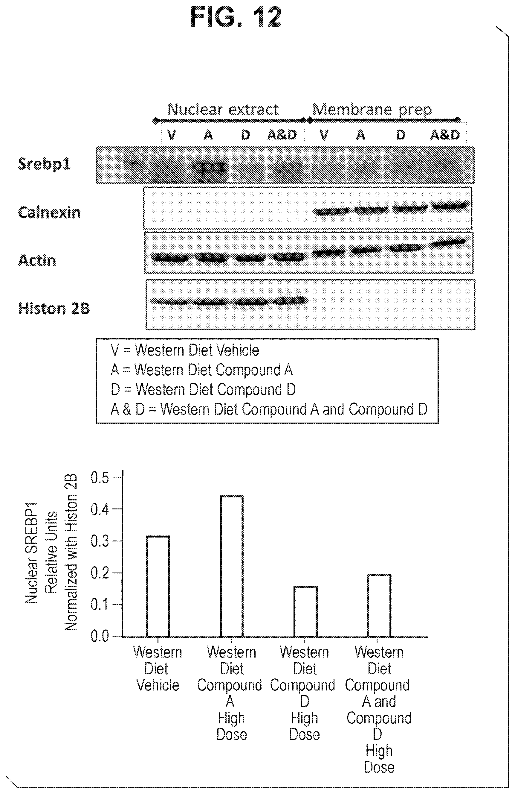 Patent US12611401 Figure 12 – Combinations comprising benzodioxol as GLP-1R agonists for use in the treatment of NASH/NAFLD and related diseases