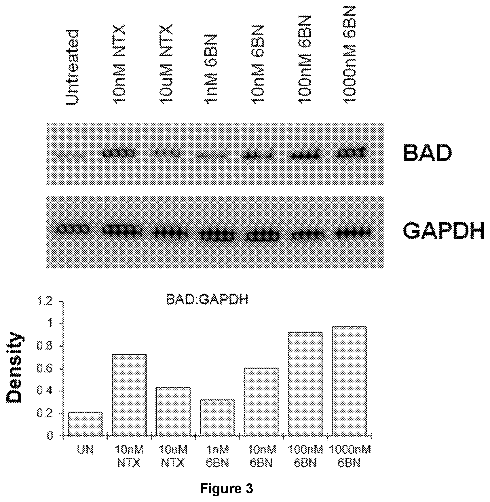 Patent US12611405 Figure 5 – Agent that increases the expression of the BCL2-associated agonist of cell death for the treatment of cancer