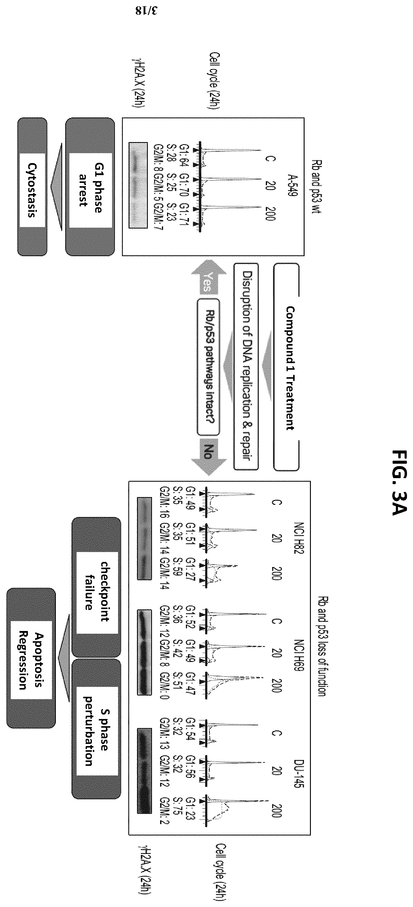 Patent US12611406 Figure 3 – Oxopiperazine derivatives for the treatment of cancer