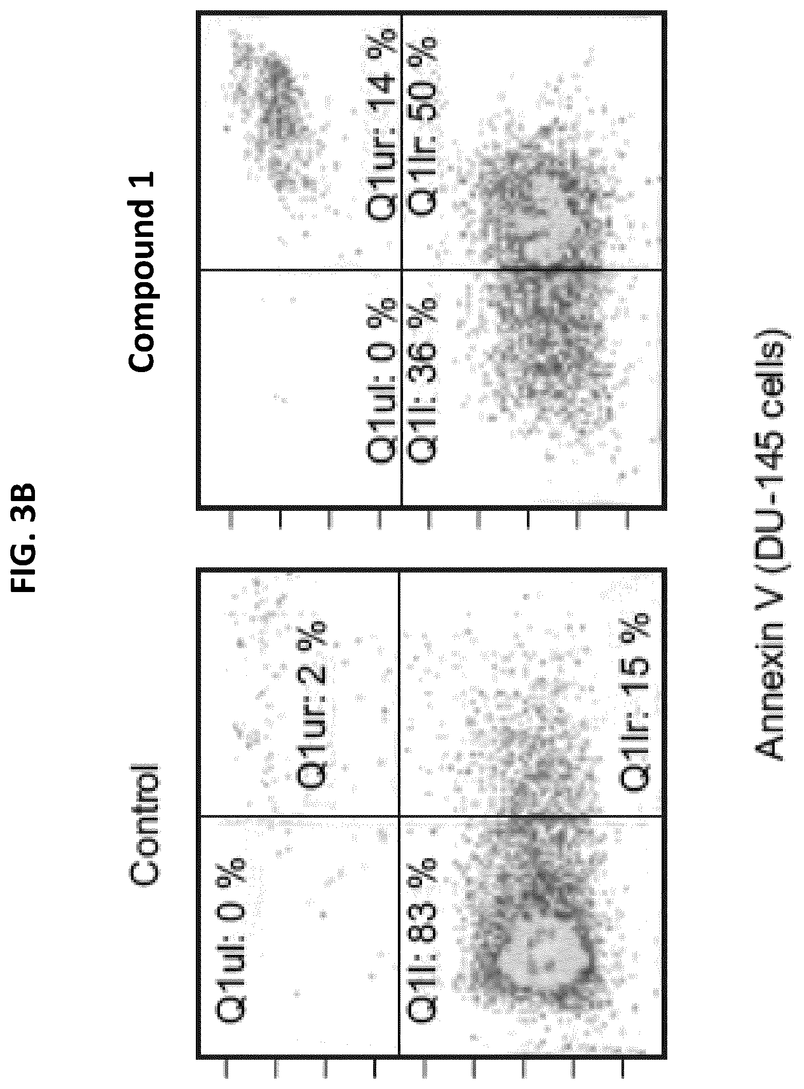Patent US12611406 Figure 4 – Oxopiperazine derivatives for the treatment of cancer