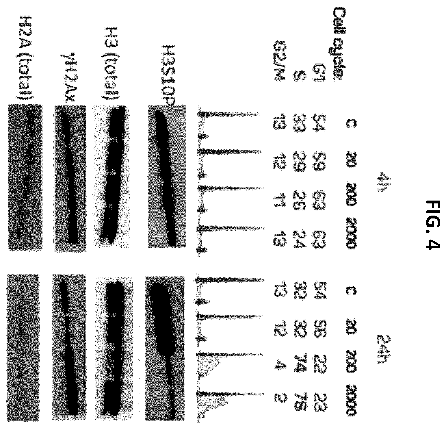 Patent US12611406 Figure 5 – Oxopiperazine derivatives for the treatment of cancer
