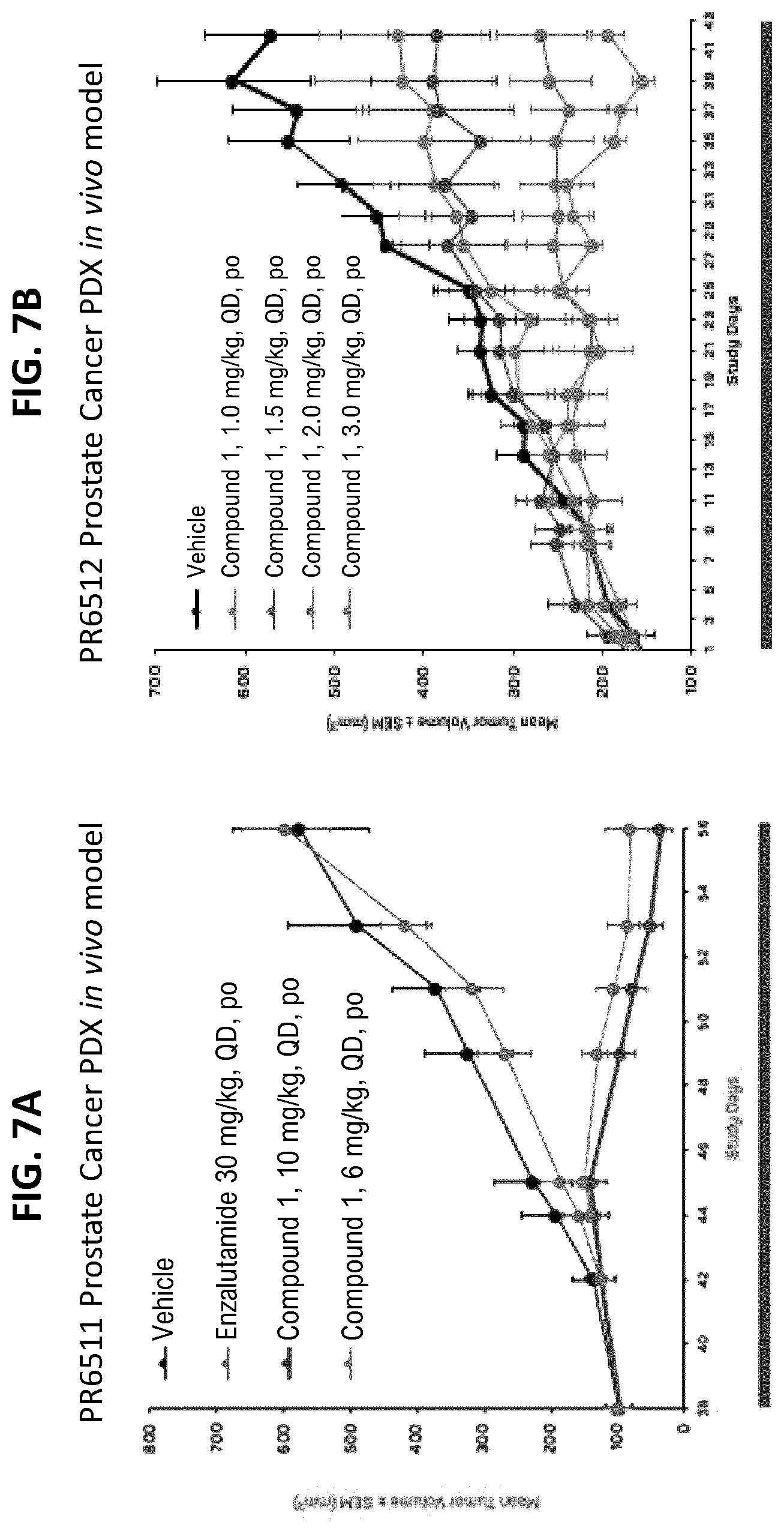 Patent US12611406 Figure 9 – Oxopiperazine derivatives for the treatment of cancer