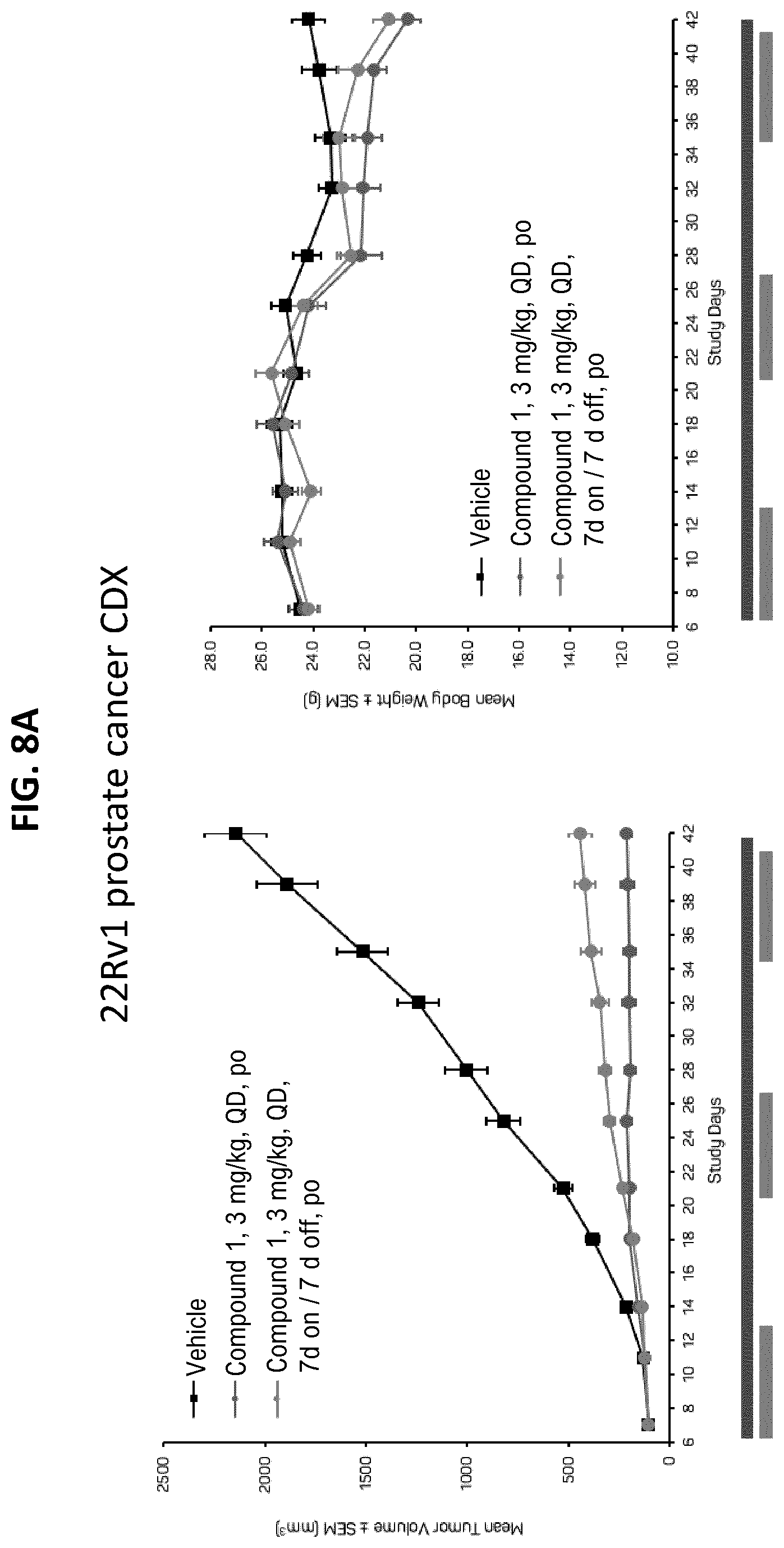 Patent US12611406 Figure 10 – Oxopiperazine derivatives for the treatment of cancer