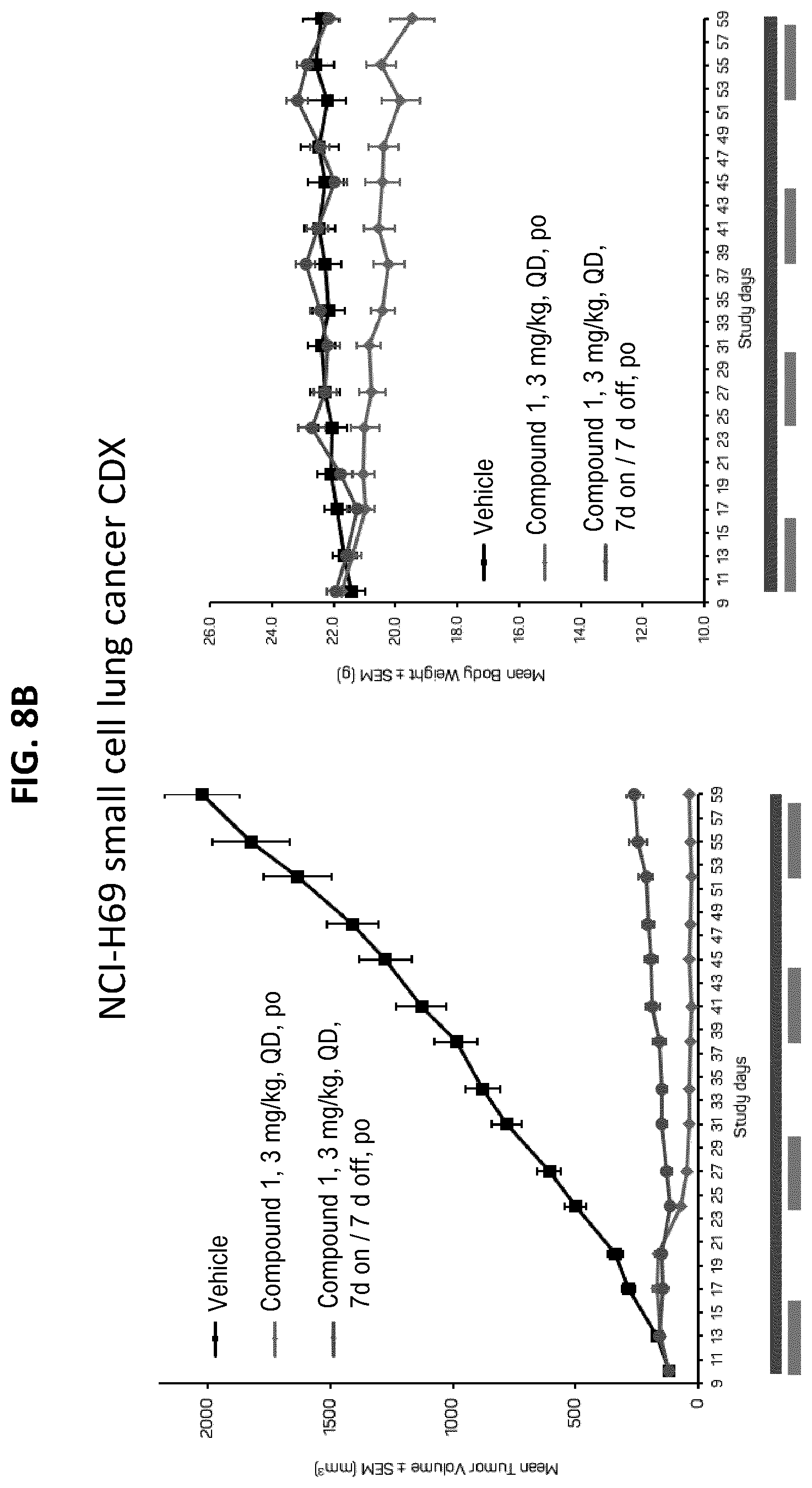 Patent US12611406 Figure 11 – Oxopiperazine derivatives for the treatment of cancer