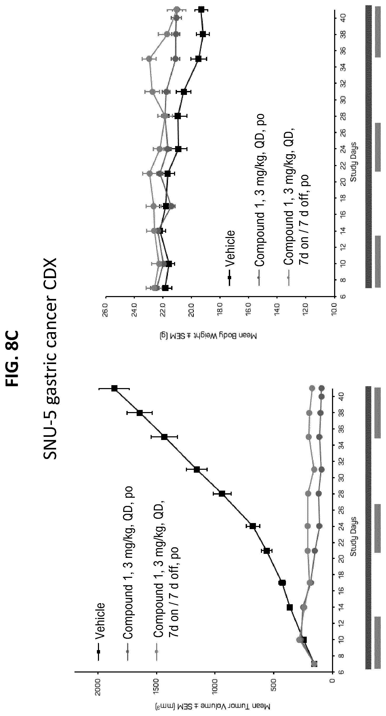 Patent US12611406 Figure 12 – Oxopiperazine derivatives for the treatment of cancer
