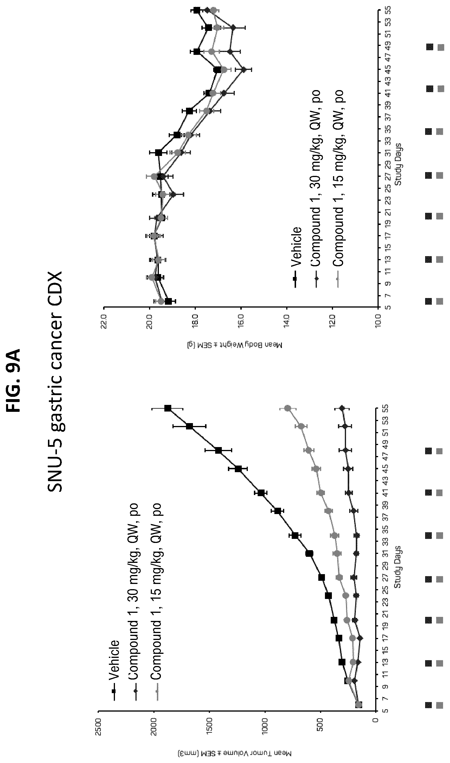 Patent US12611406 Figure 13 – Oxopiperazine derivatives for the treatment of cancer
