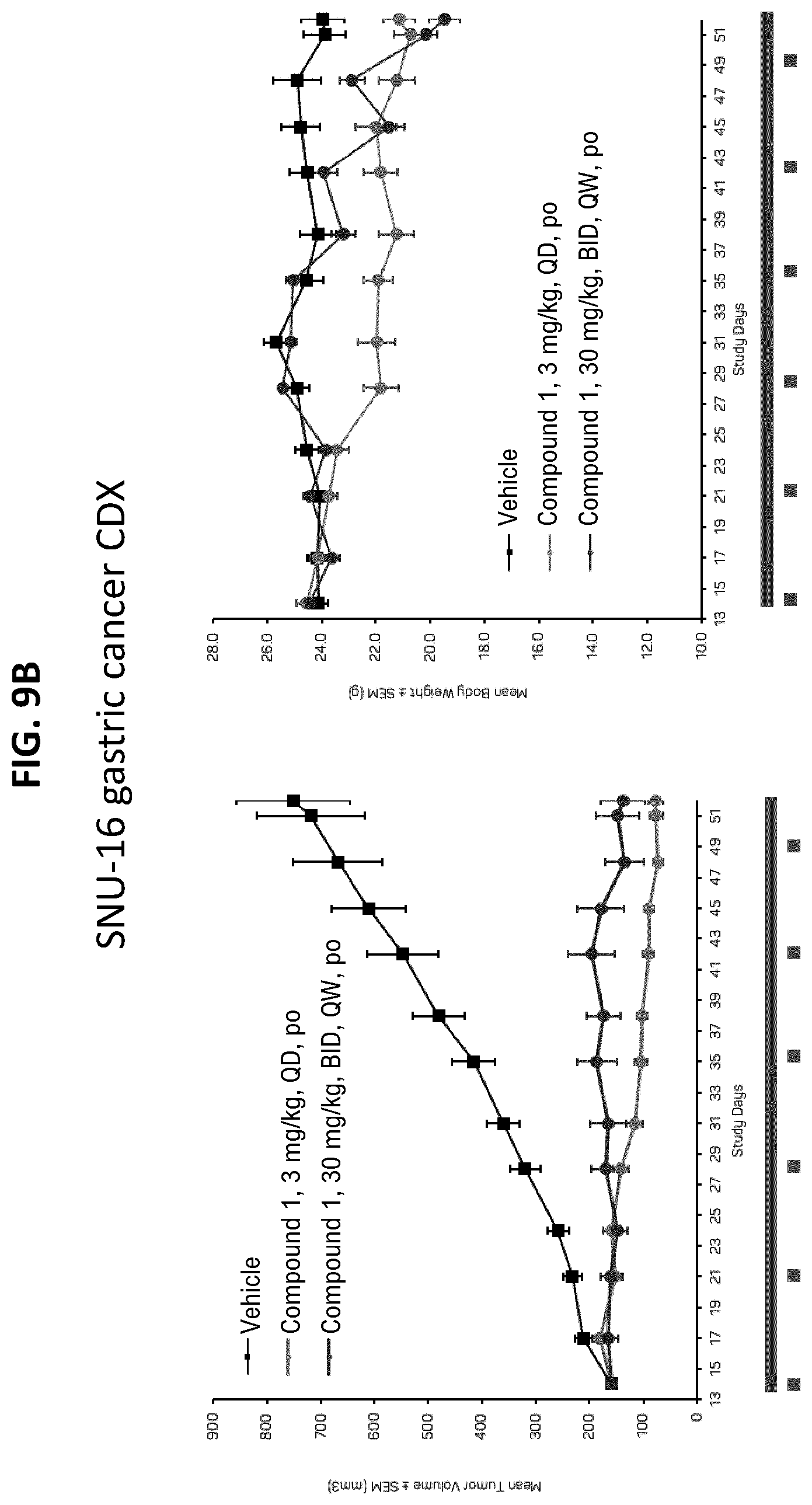 Patent US12611406 Figure 14 – Oxopiperazine derivatives for the treatment of cancer
