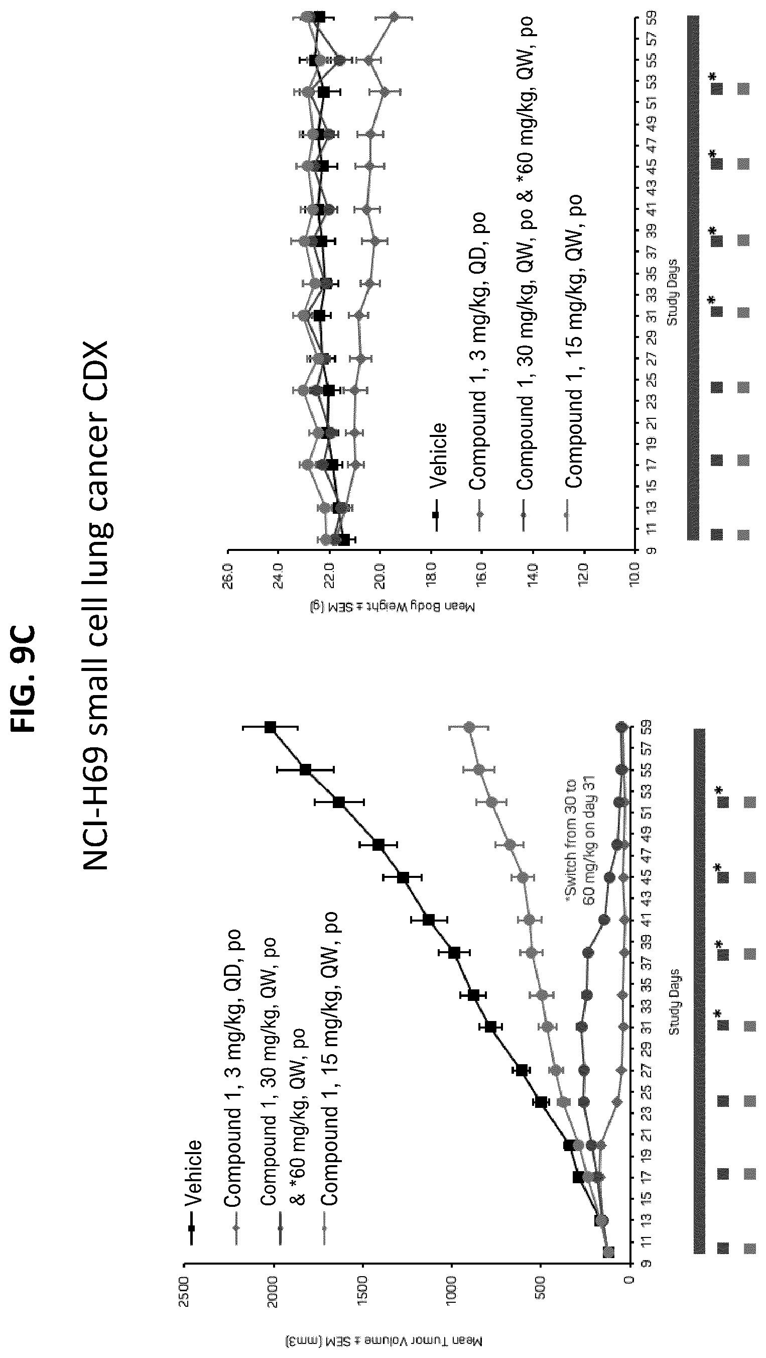 Patent US12611406 Figure 15 – Oxopiperazine derivatives for the treatment of cancer