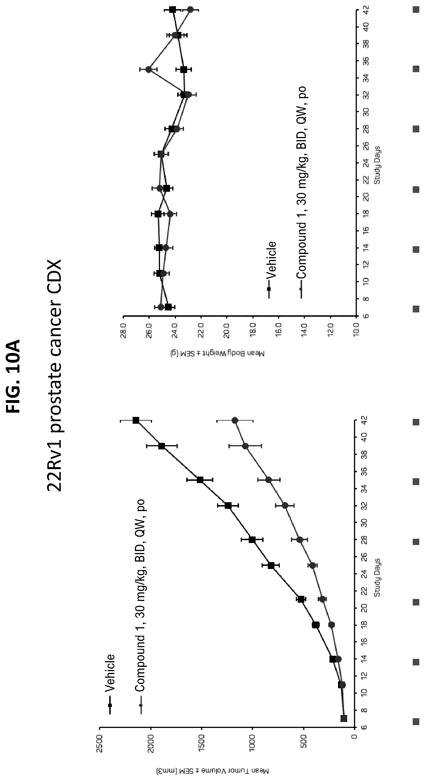 Patent US12611406 Figure 16 – Oxopiperazine derivatives for the treatment of cancer