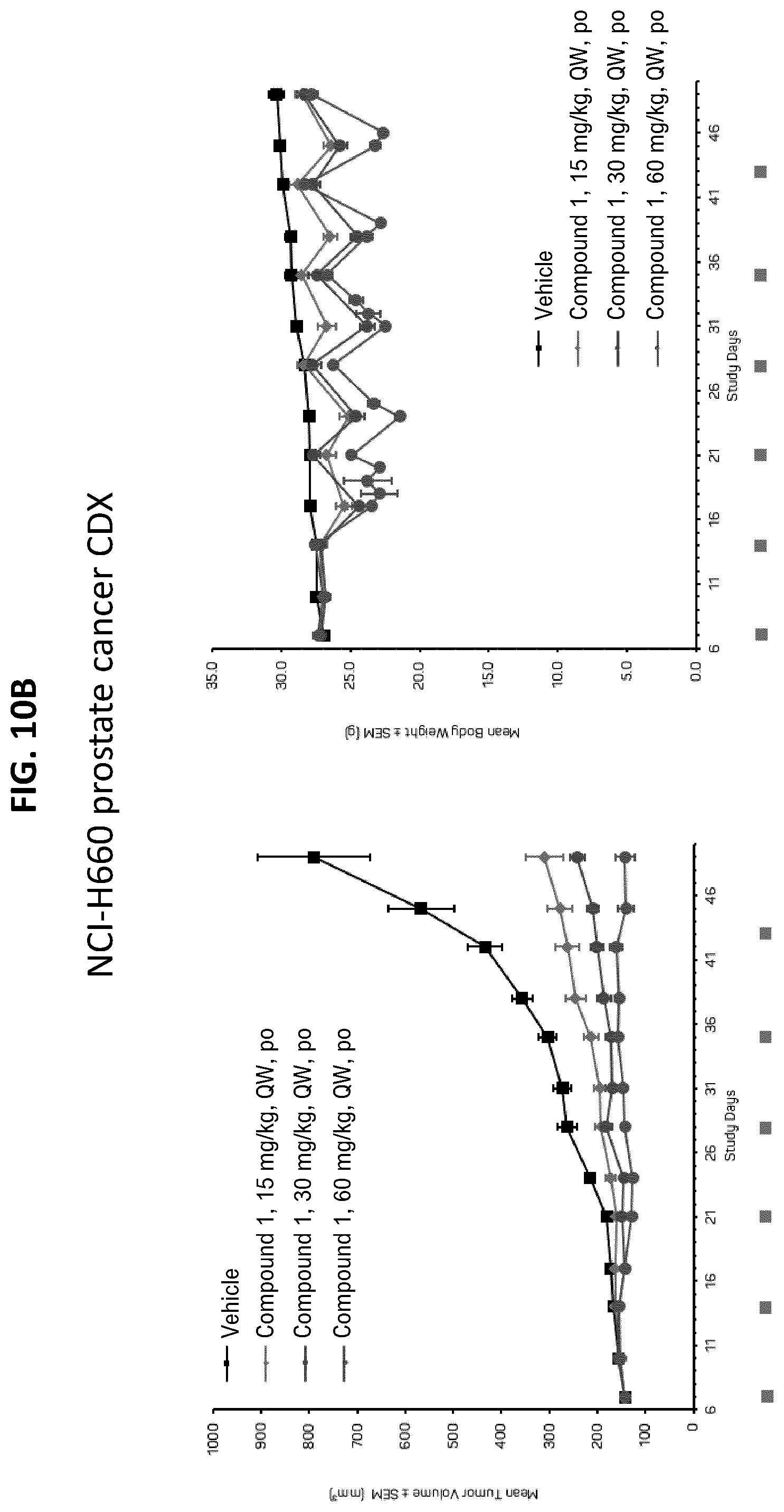Patent US12611406 Figure 17 – Oxopiperazine derivatives for the treatment of cancer