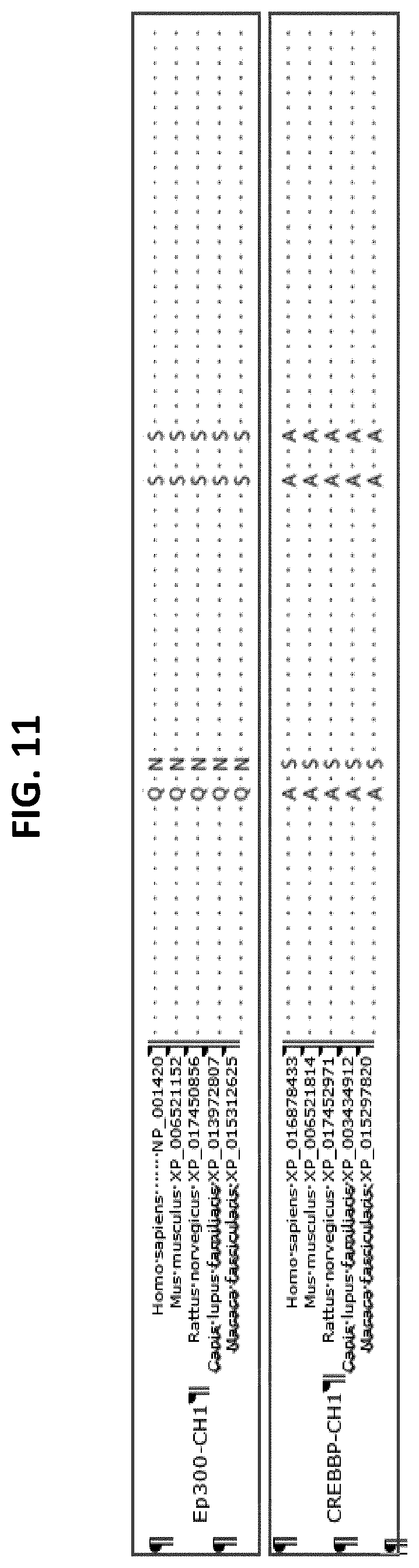 Patent US12611406 Figure 18 – Oxopiperazine derivatives for the treatment of cancer