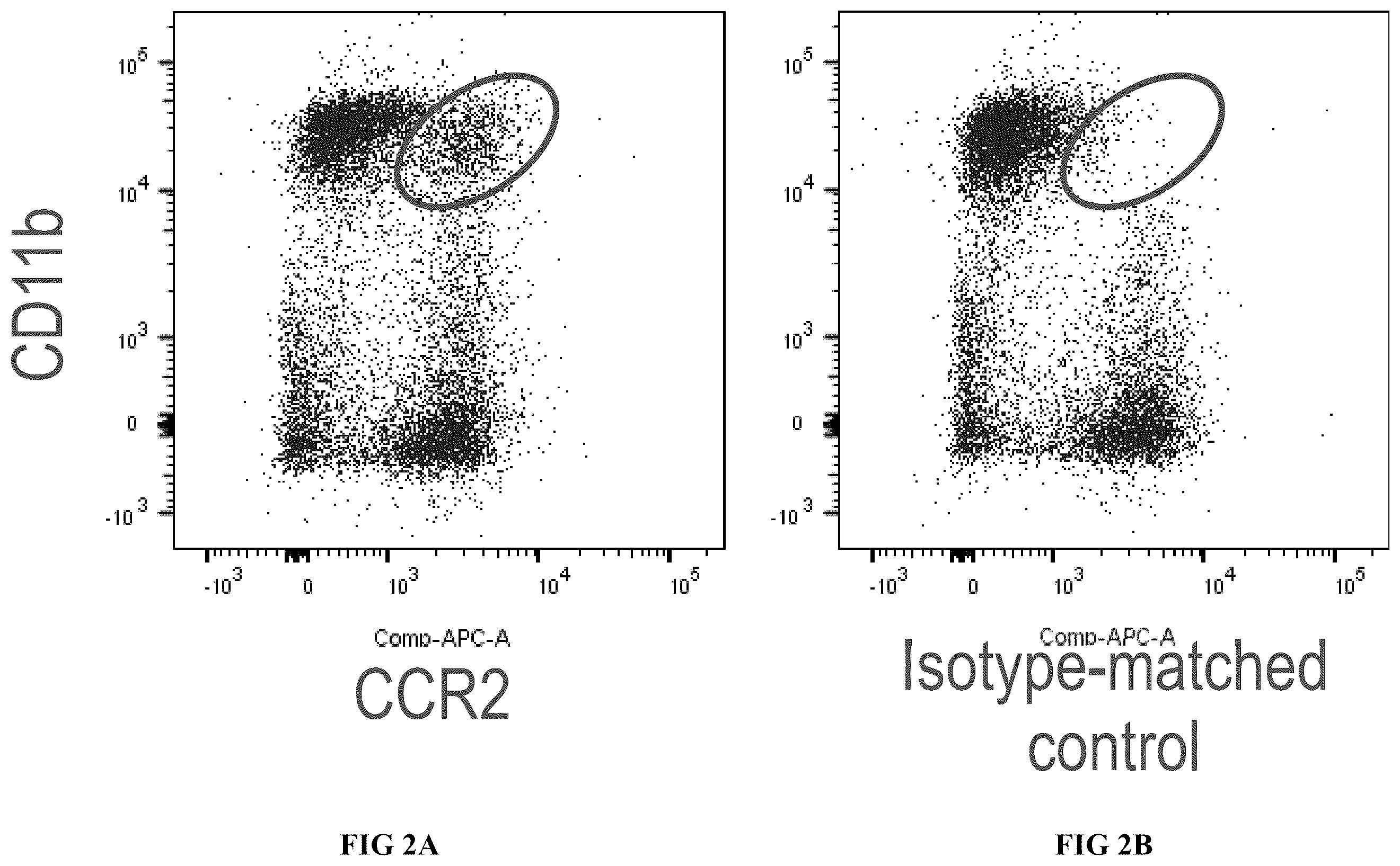 Patent US12611409 Figure 2 – Combination therapy using a chemokine receptor 2 (CCR2) antagonist and a PD-1/PD-L1 inhibitor