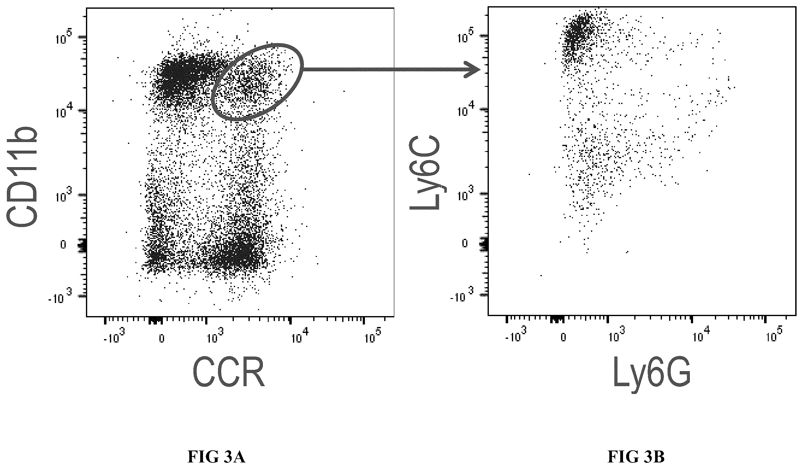 Patent US12611409 Figure 3 – Combination therapy using a chemokine receptor 2 (CCR2) antagonist and a PD-1/PD-L1 inhibitor