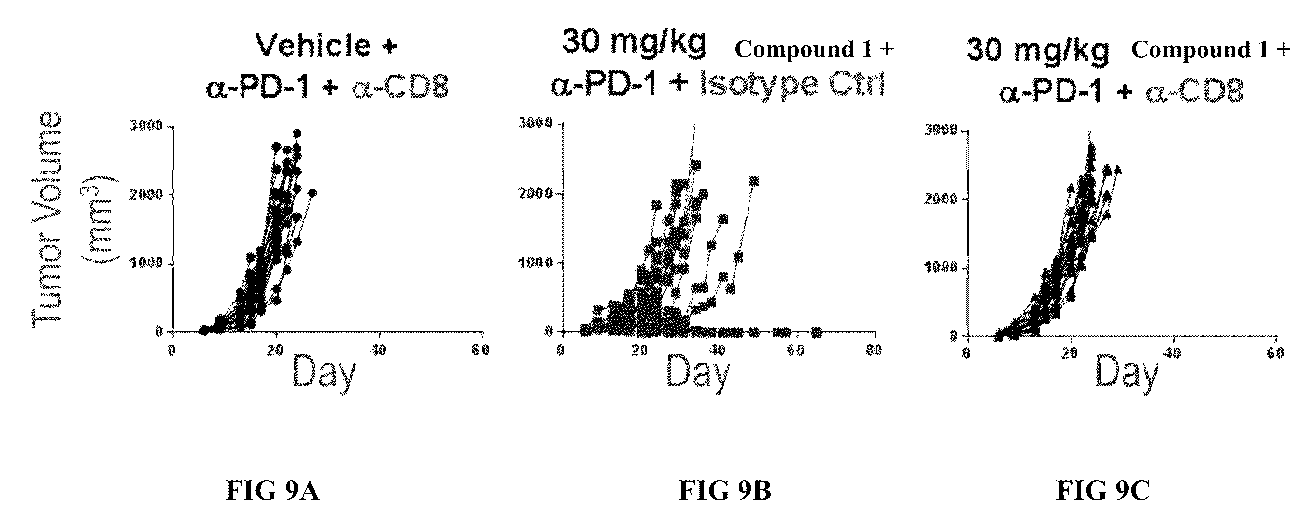 Patent US12611409 Figure 9 – Combination therapy using a chemokine receptor 2 (CCR2) antagonist and a PD-1/PD-L1 inhibitor