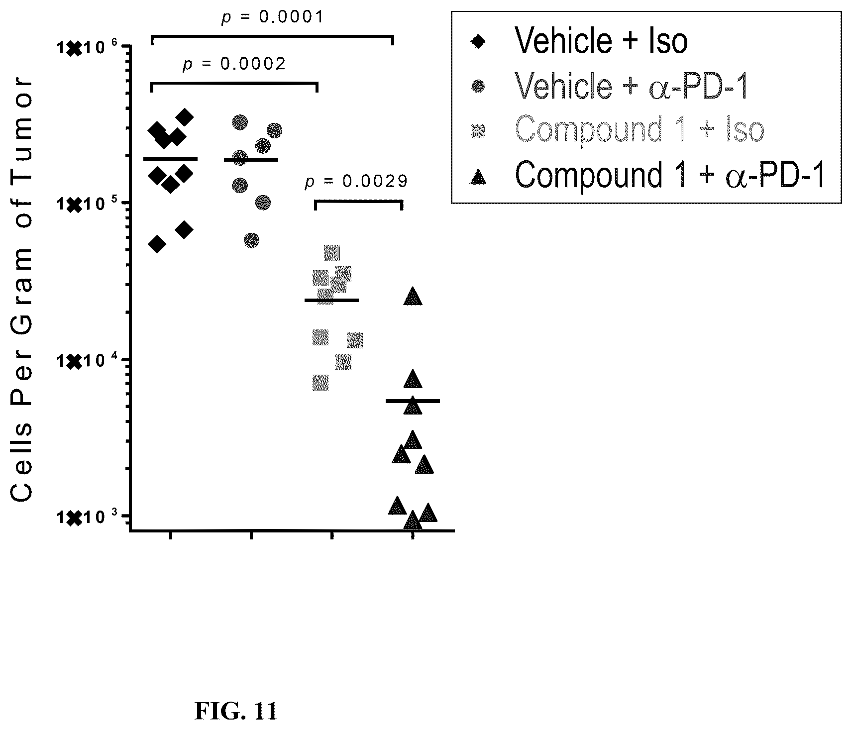 Patent US12611409 Figure 11 – Combination therapy using a chemokine receptor 2 (CCR2) antagonist and a PD-1/PD-L1 inhibitor