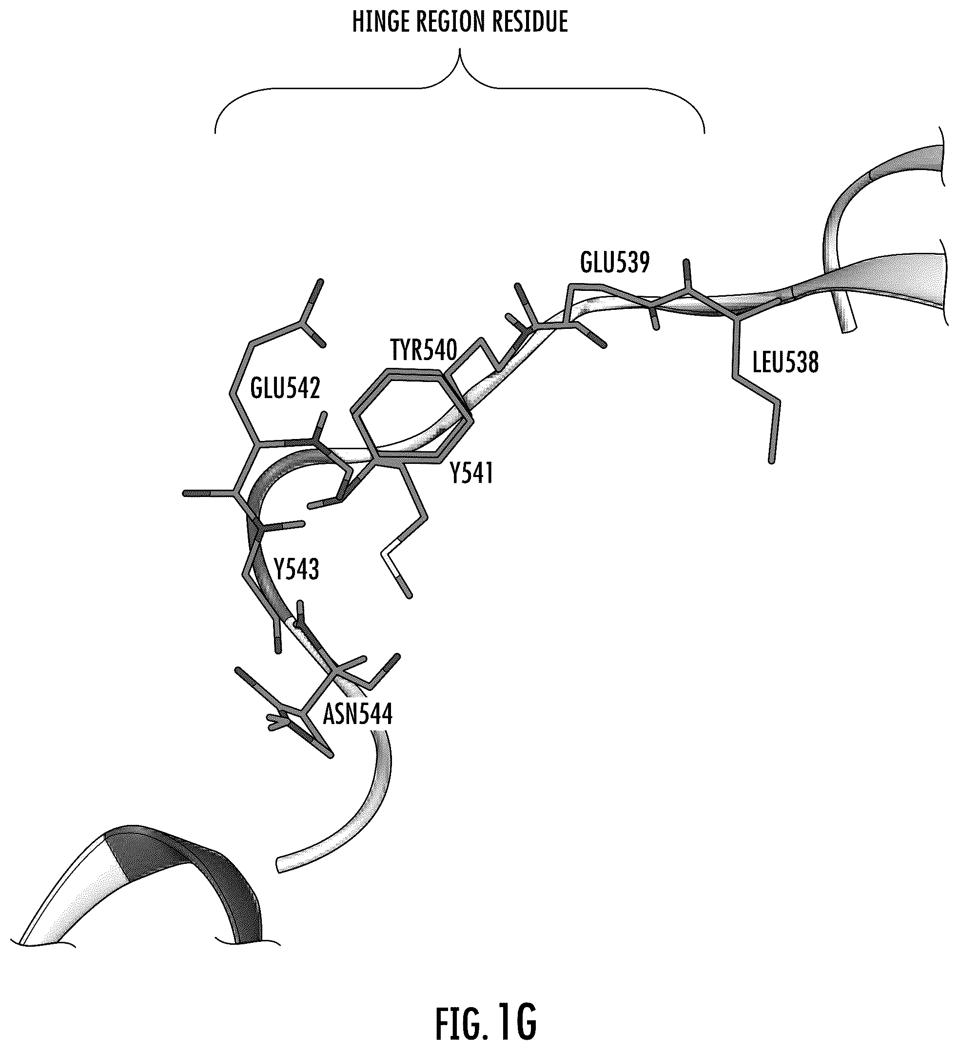 Patent US12611412 Figure 5 – Targeting the TLK1/NEK1 axis in prostate cancer