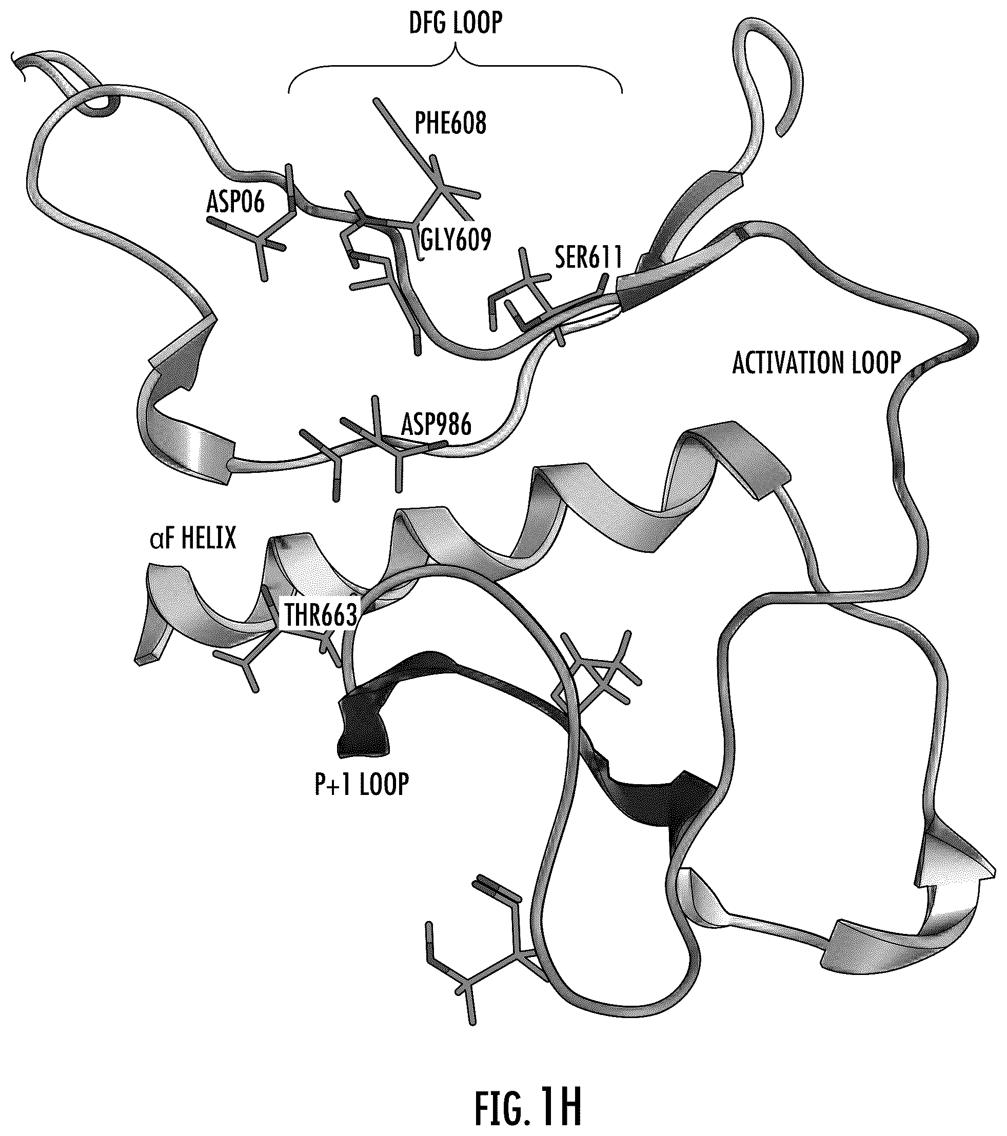 Patent US12611412 Figure 6 – Targeting the TLK1/NEK1 axis in prostate cancer