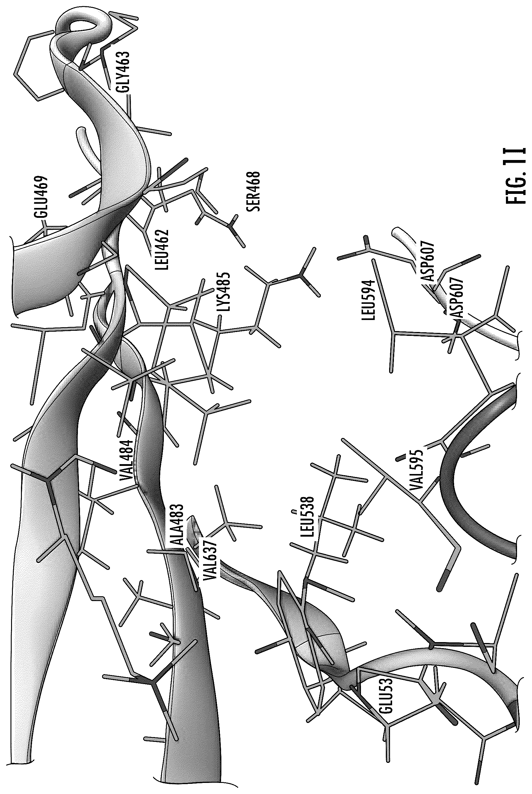 Patent US12611412 Figure 7 – Targeting the TLK1/NEK1 axis in prostate cancer