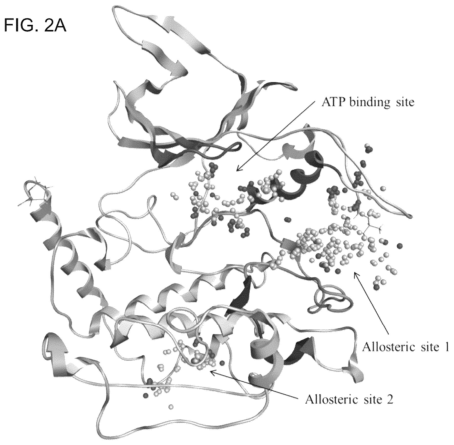 Patent US12611412 Figure 8 – Targeting the TLK1/NEK1 axis in prostate cancer