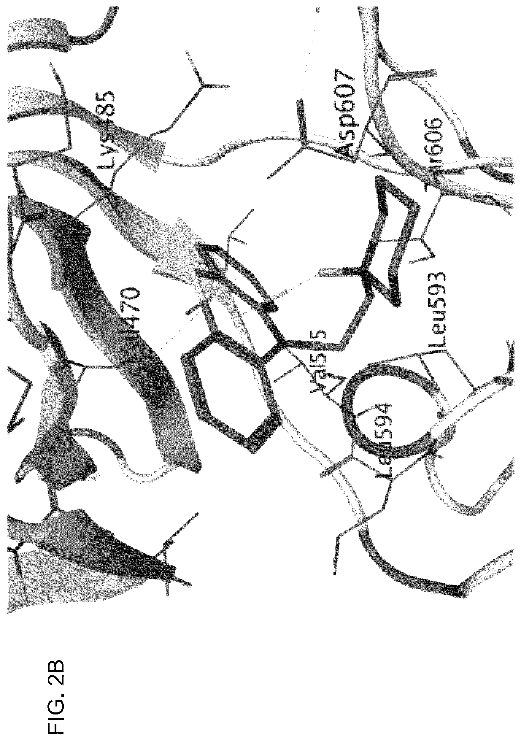 Patent US12611412 Figure 9 – Targeting the TLK1/NEK1 axis in prostate cancer