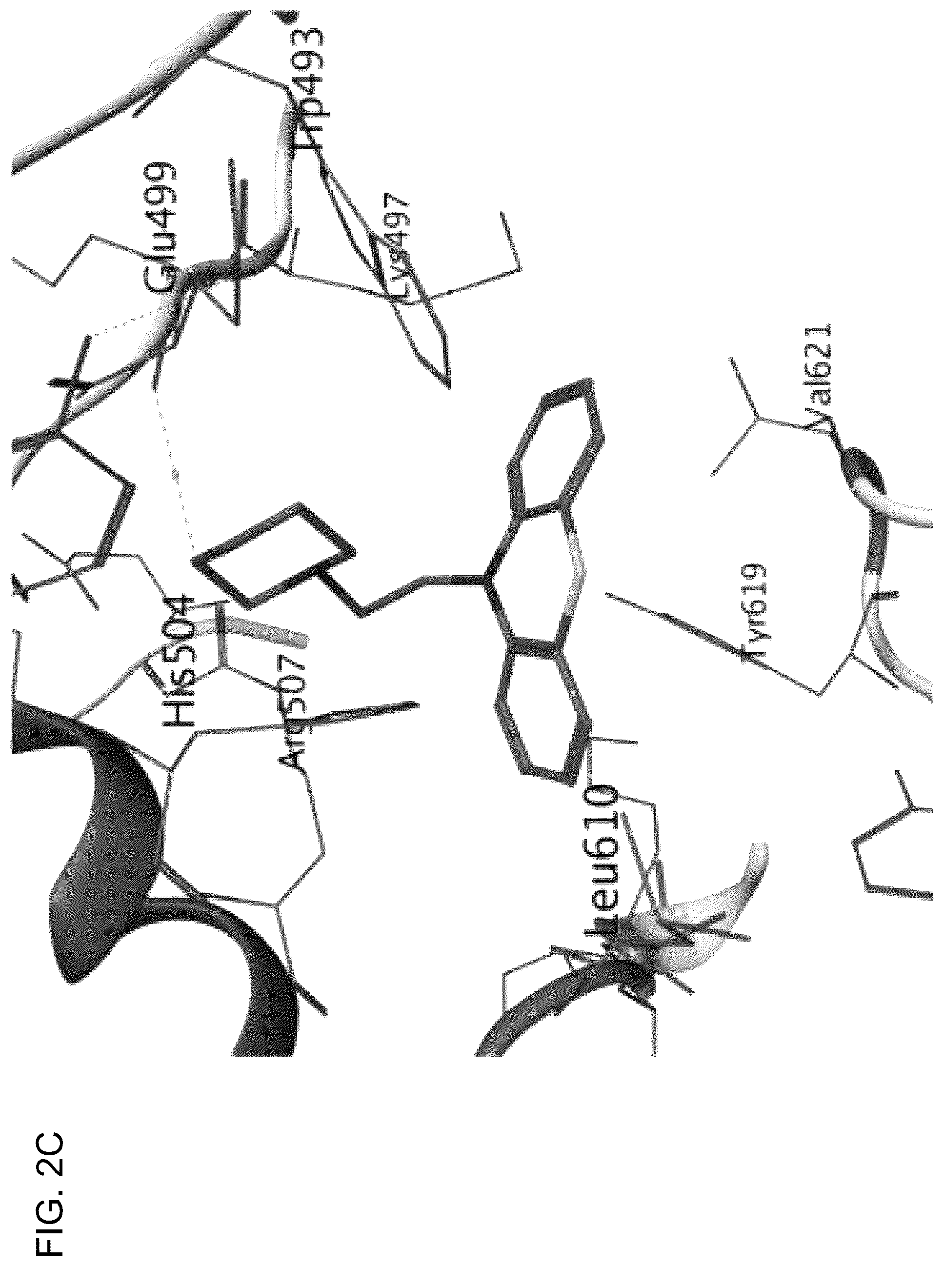 Patent US12611412 Figure 10 – Targeting the TLK1/NEK1 axis in prostate cancer