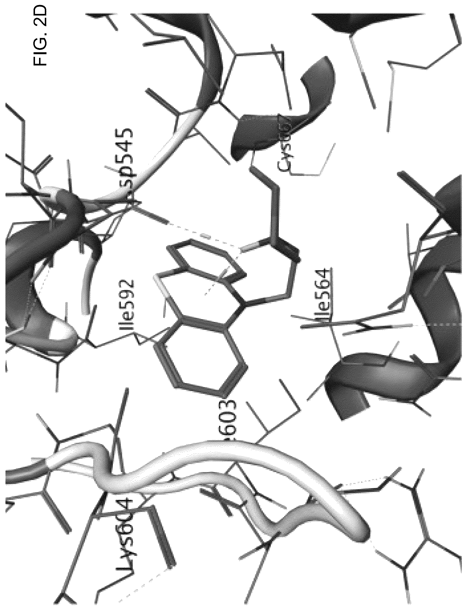 Patent US12611412 Figure 11 – Targeting the TLK1/NEK1 axis in prostate cancer