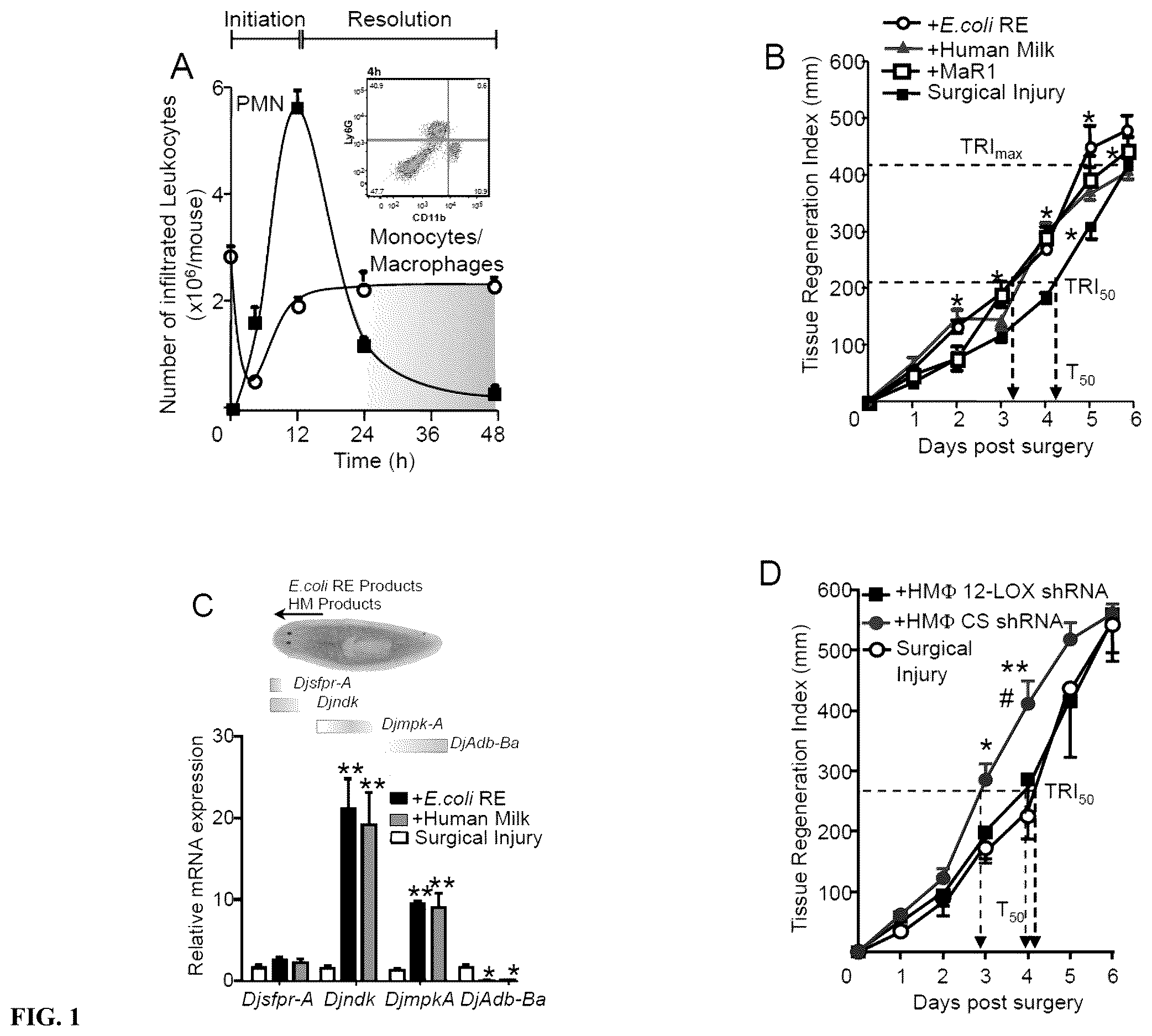 Patent US12611414 Figure 1 – Cysteinyl-proresolving mediators that promote resolution of infection and organ protection