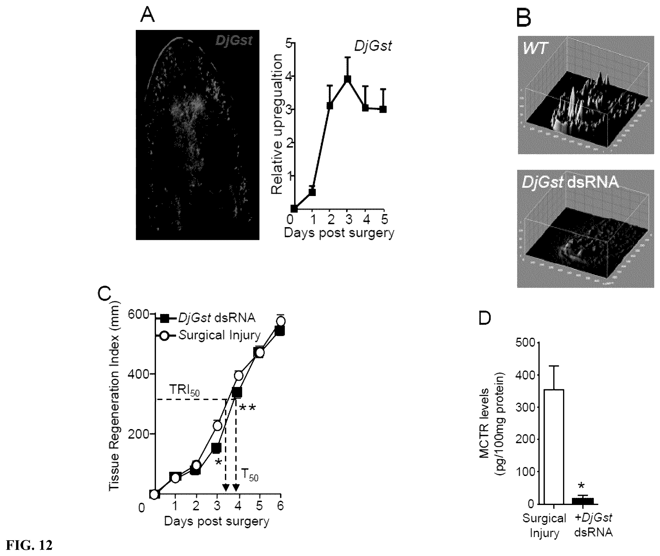 Patent US12611414 Figure 12 – Cysteinyl-proresolving mediators that promote resolution of infection and organ protection