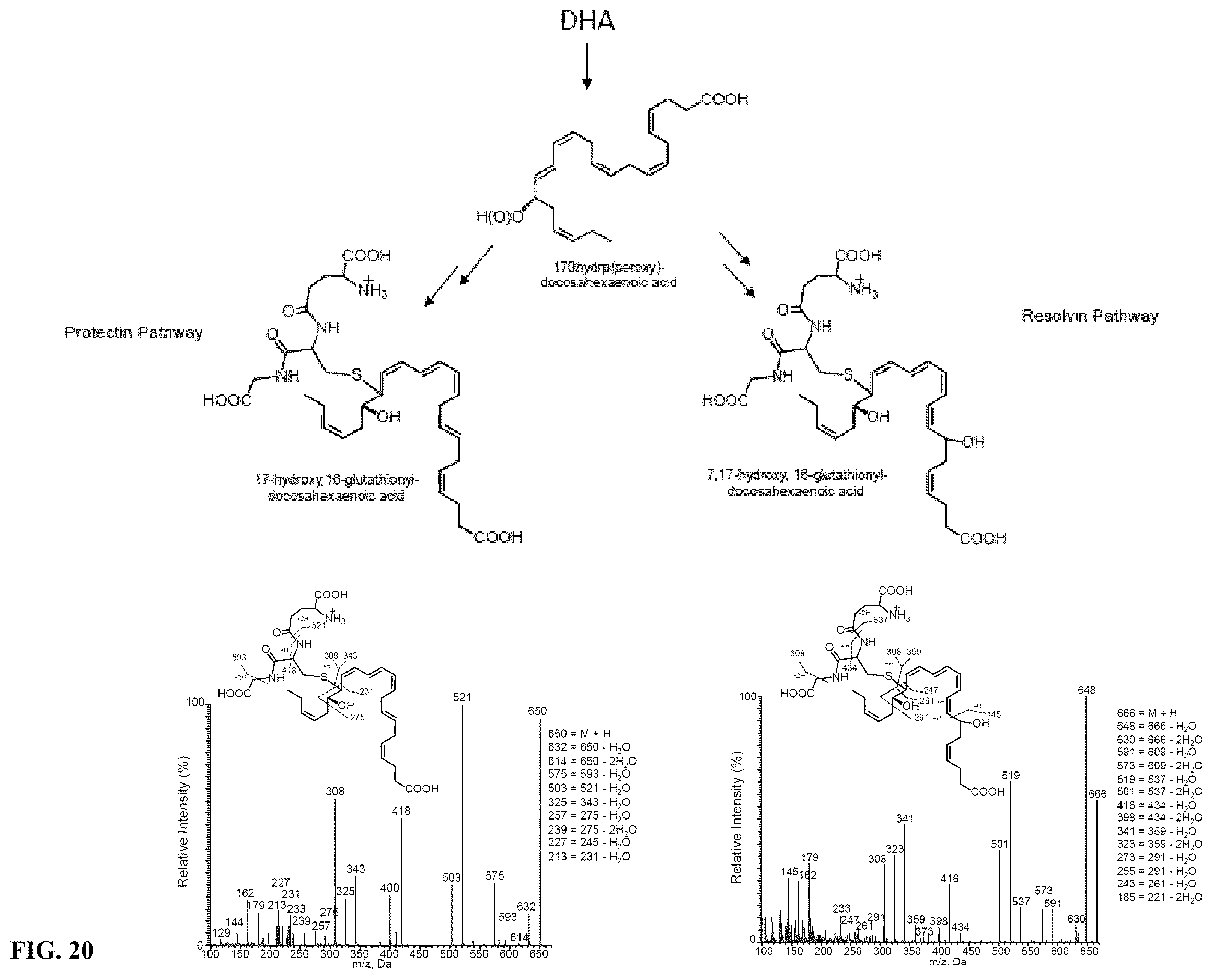 Patent US12611414 Figure 20 – Cysteinyl-proresolving mediators that promote resolution of infection and organ protection