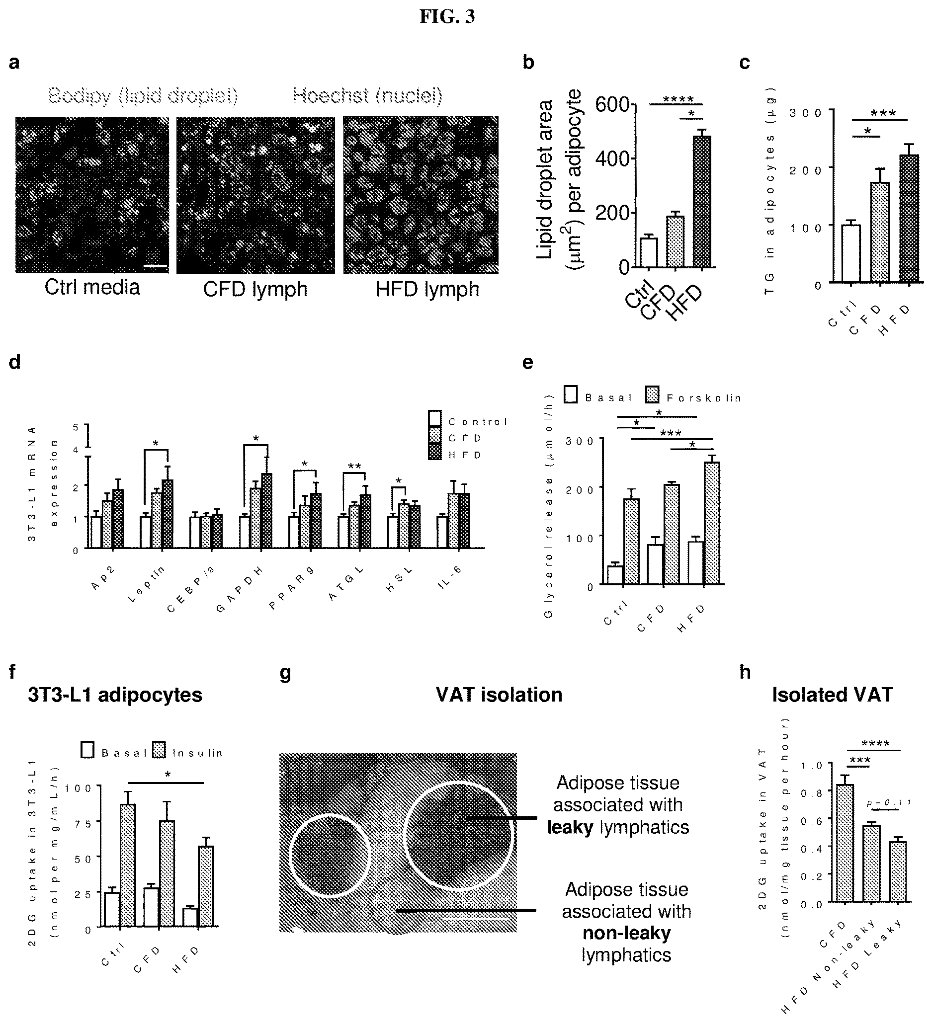 Patent US12611415 Figure 3 – Methods and compounds for treatment of metabolic disease