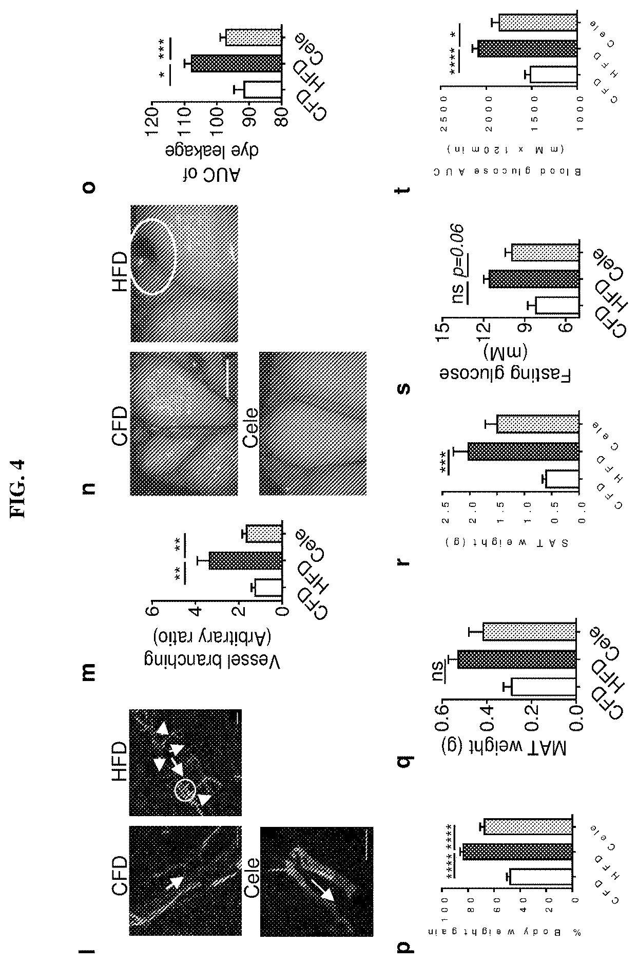 Patent US12611415 Figure 5 – Methods and compounds for treatment of metabolic disease