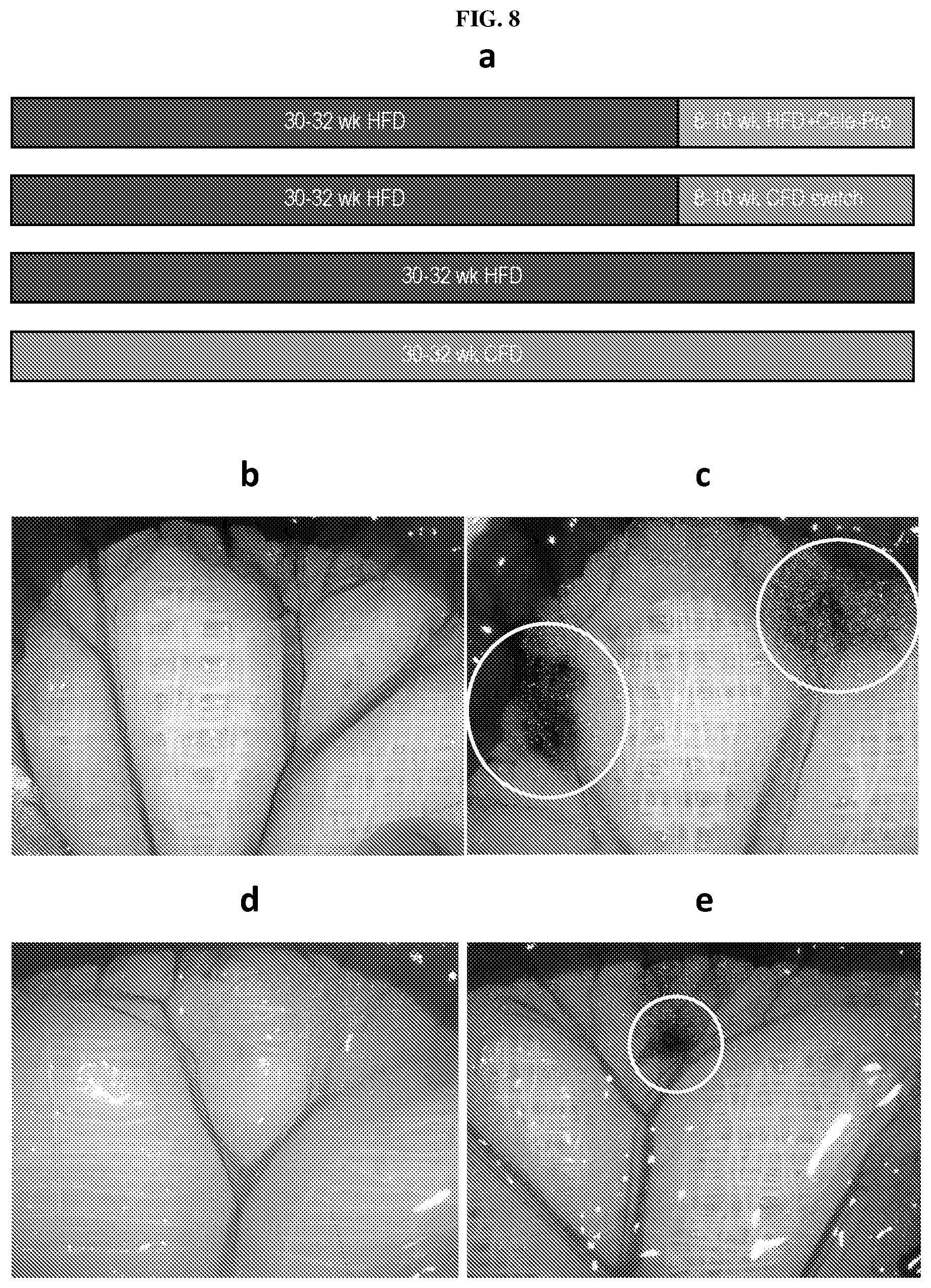 Patent US12611415 Figure 15 – Methods and compounds for treatment of metabolic disease