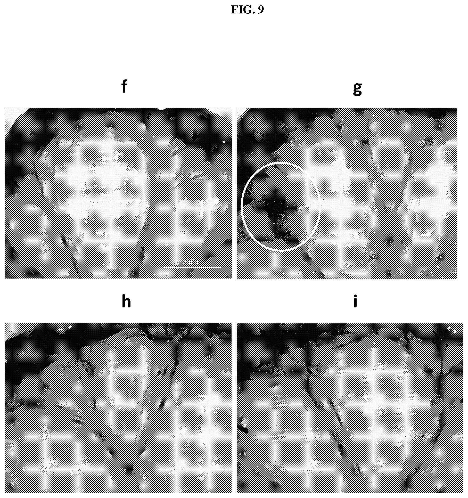 Patent US12611415 Figure 18 – Methods and compounds for treatment of metabolic disease