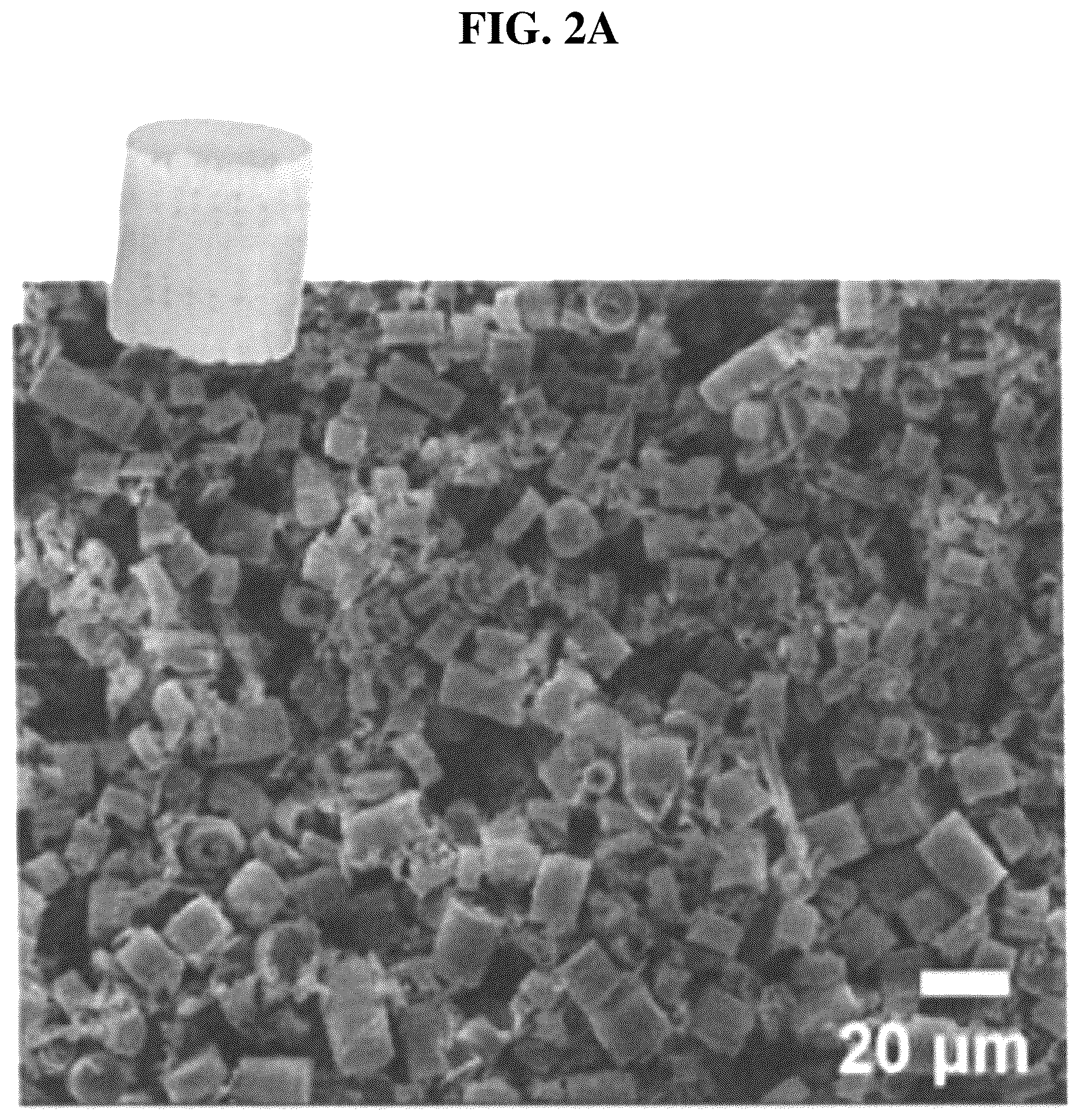 Patent US12611426 Figure 4 – Antibiotic composition comprising a composite of diatomaceous earth and zinc oxide, and combination preparation with the same