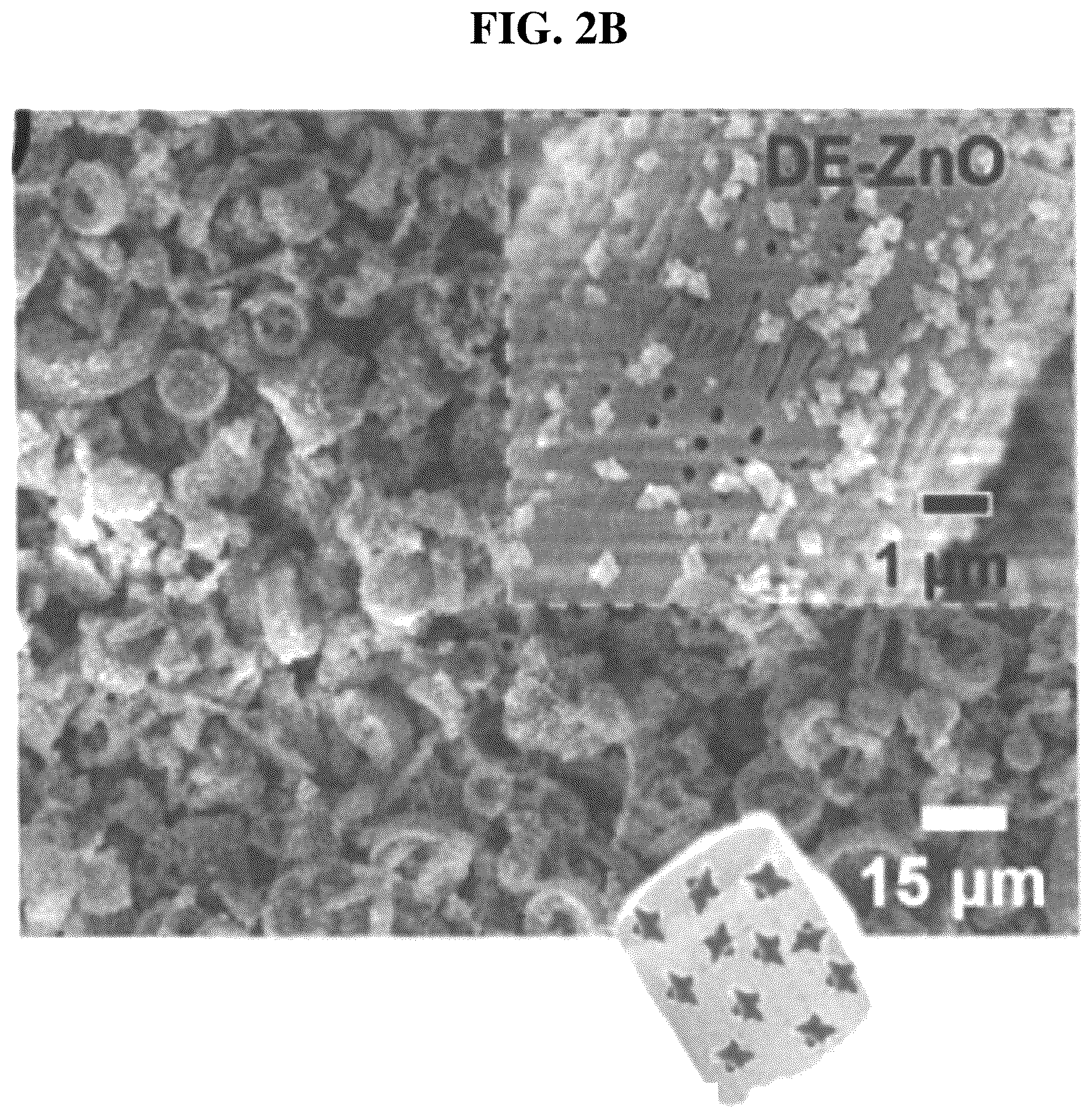 Patent US12611426 Figure 5 – Antibiotic composition comprising a composite of diatomaceous earth and zinc oxide, and combination preparation with the same