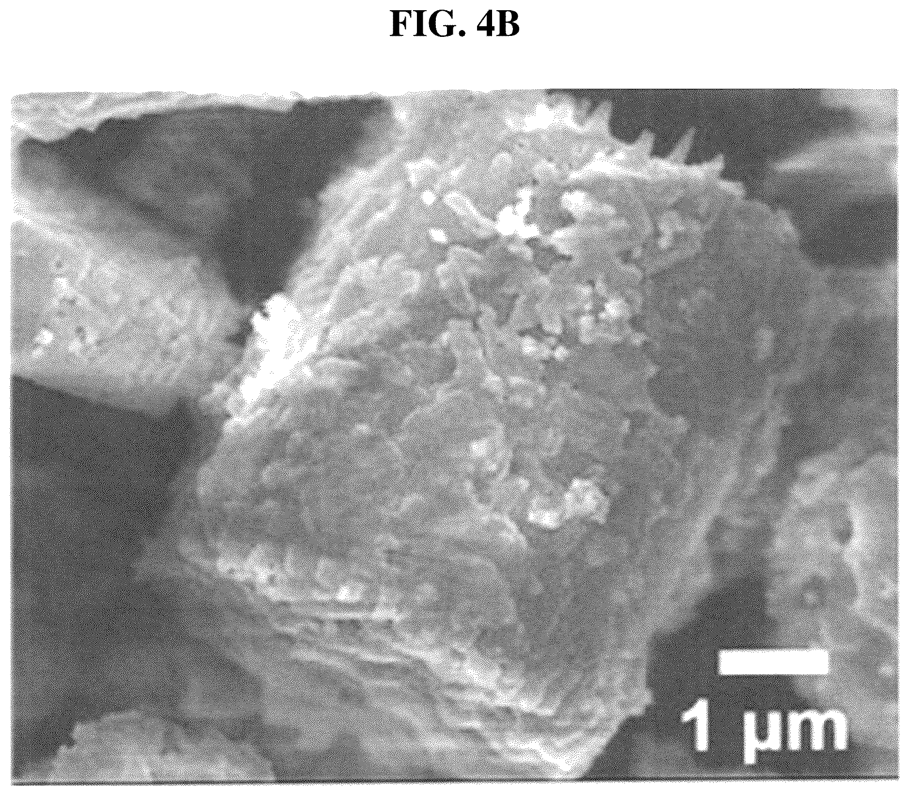 Patent US12611426 Figure 9 – Antibiotic composition comprising a composite of diatomaceous earth and zinc oxide, and combination preparation with the same