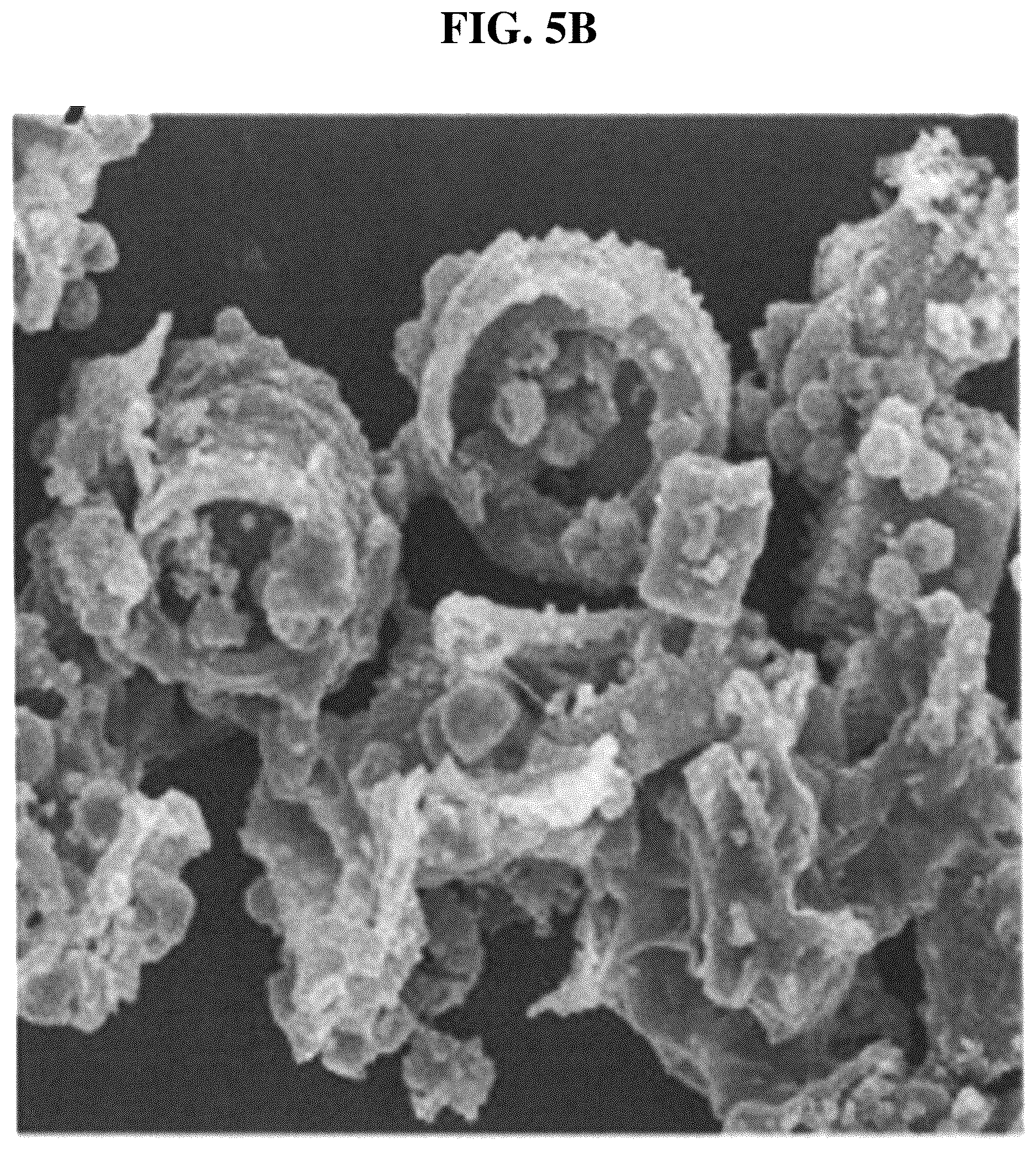 Patent US12611426 Figure 13 – Antibiotic composition comprising a composite of diatomaceous earth and zinc oxide, and combination preparation with the same
