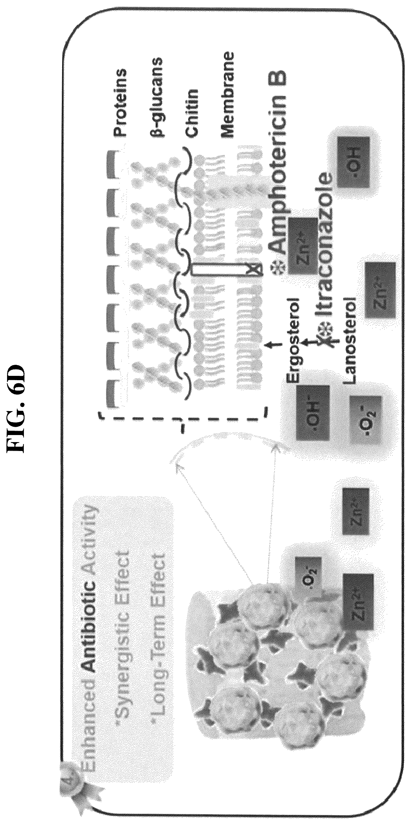 Patent US12611426 Figure 17 – Antibiotic composition comprising a composite of diatomaceous earth and zinc oxide, and combination preparation with the same
