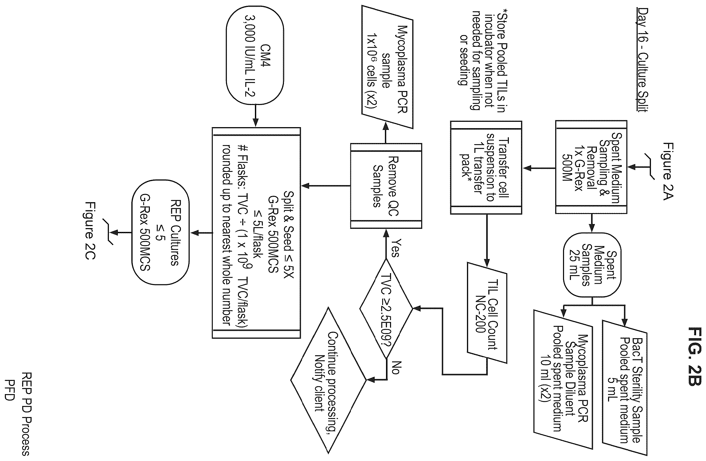 Patent US12611427 Figure 3 – Treatment of NSCLC patients refractory for anti-PD-1 antibody
