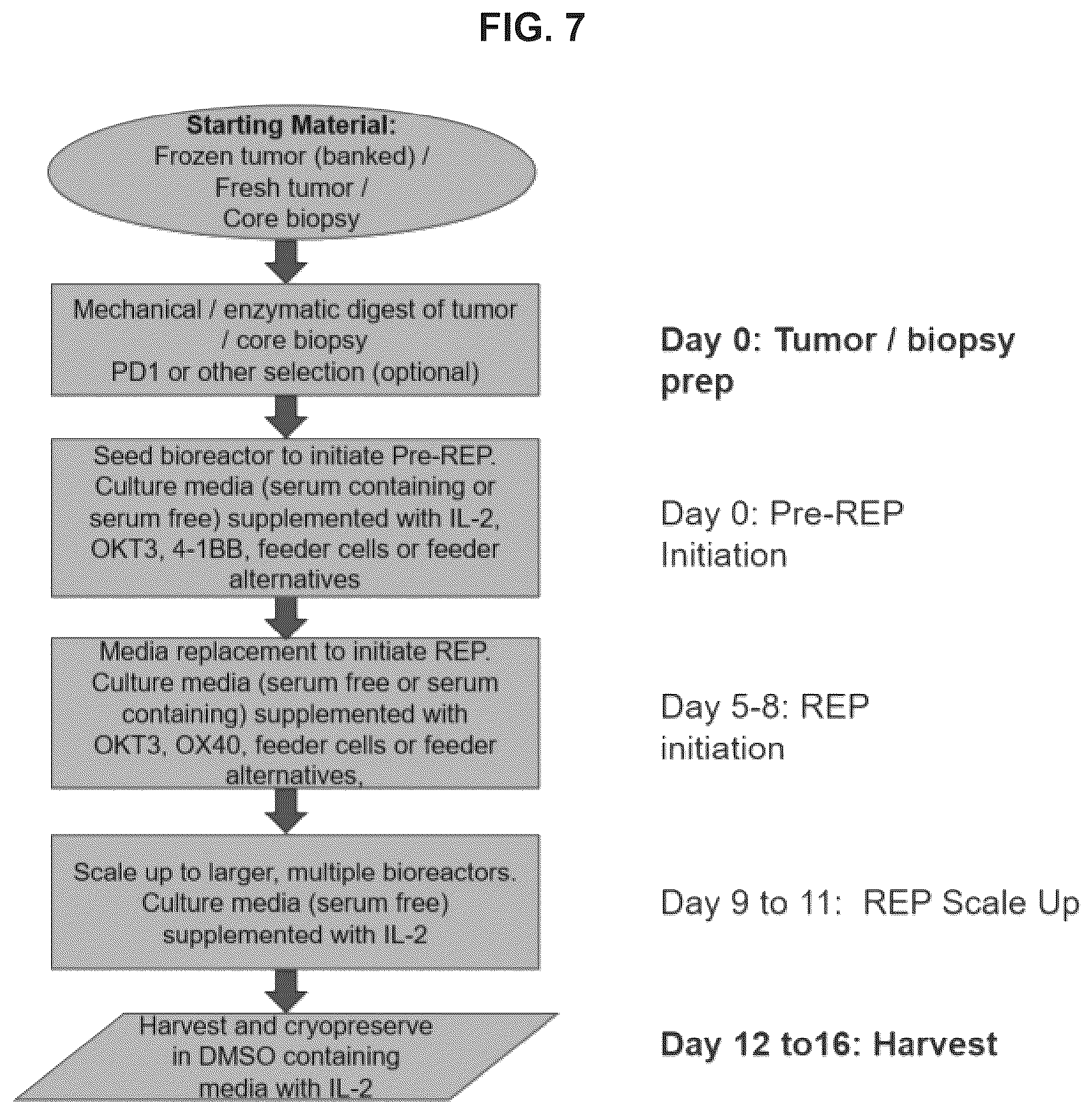 Patent US12611427 Figure 9 – Treatment of NSCLC patients refractory for anti-PD-1 antibody