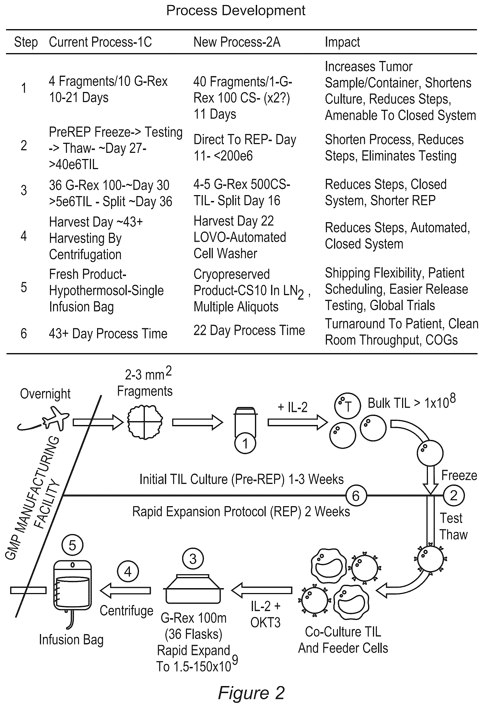 Patent US12611428 Figure 2 – Processes for production of tumor infiltrating lymphocytes and uses of same in immunotherapy