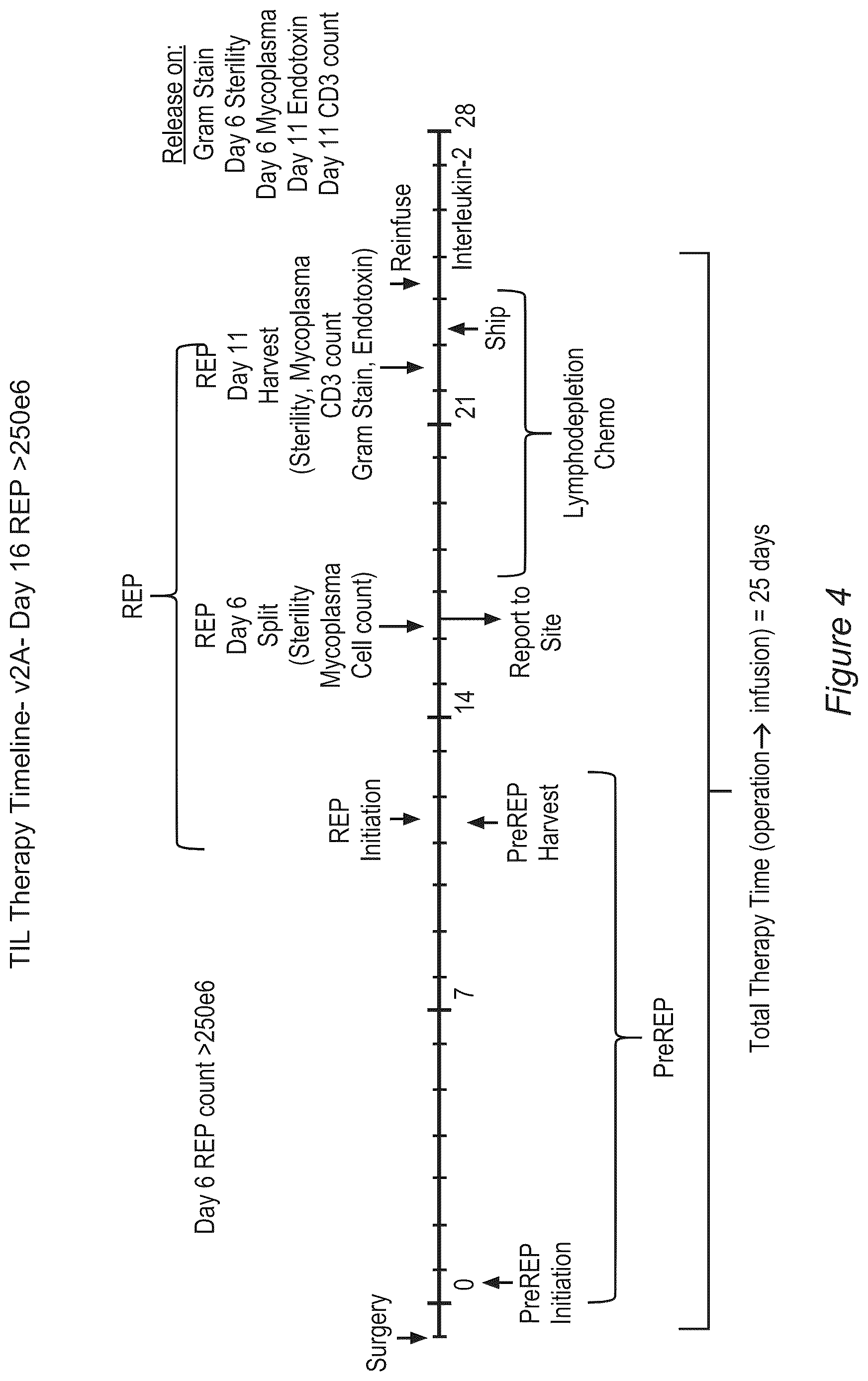 Patent US12611428 Figure 4 – Processes for production of tumor infiltrating lymphocytes and uses of same in immunotherapy