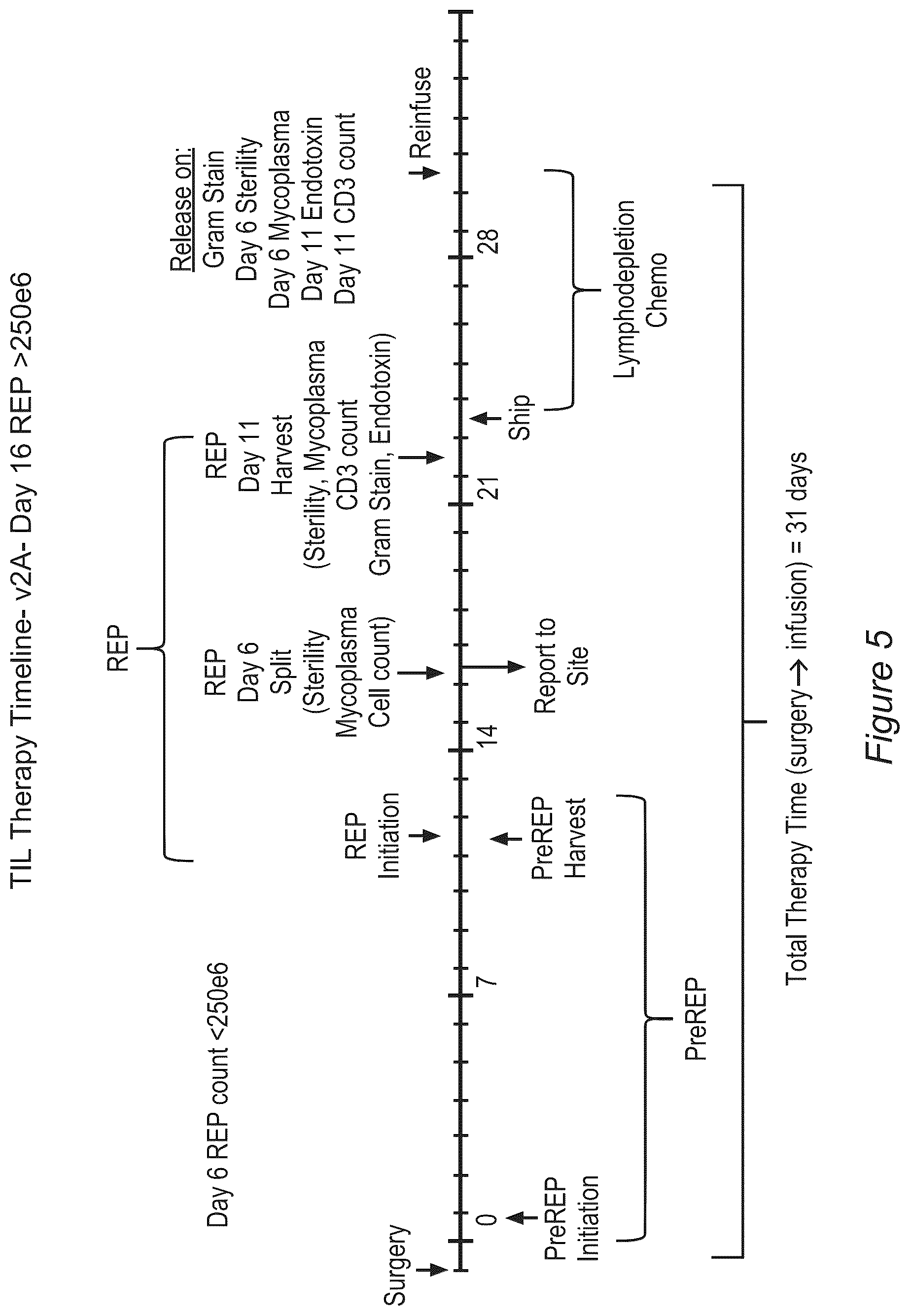 Patent US12611428 Figure 5 – Processes for production of tumor infiltrating lymphocytes and uses of same in immunotherapy