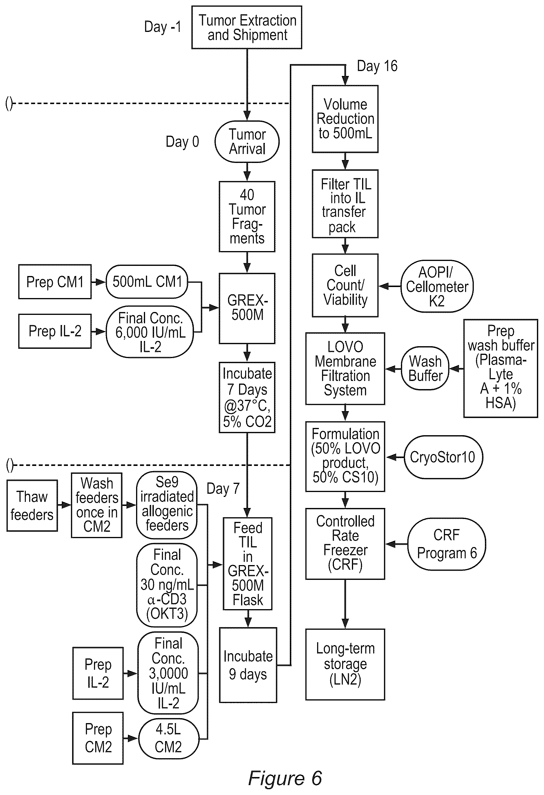 Patent US12611428 Figure 6 – Processes for production of tumor infiltrating lymphocytes and uses of same in immunotherapy
