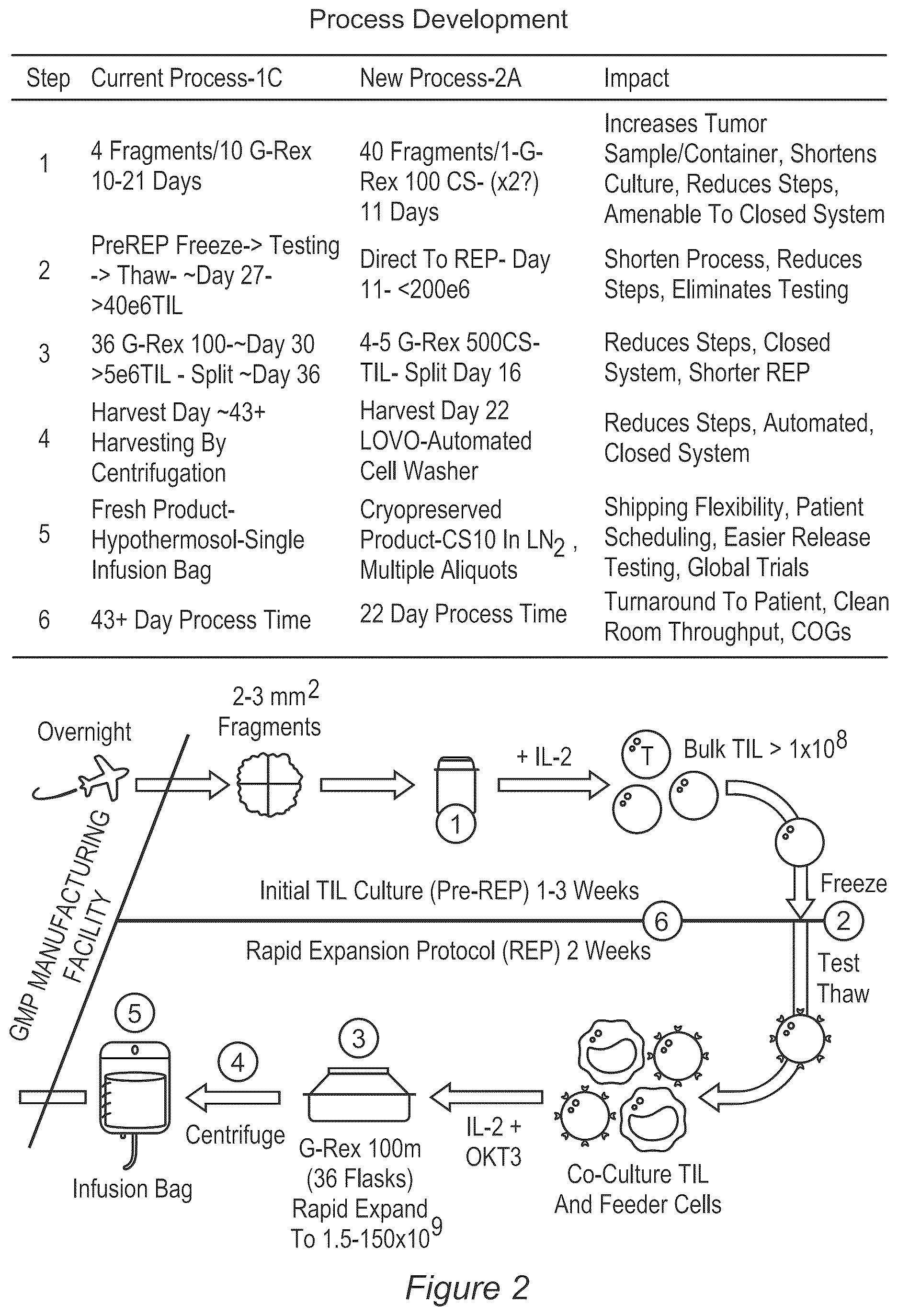 Patent US12611429 Figure 2 – Processes for production of tumor infiltrating lymphocytes and uses of same in immunotherapy