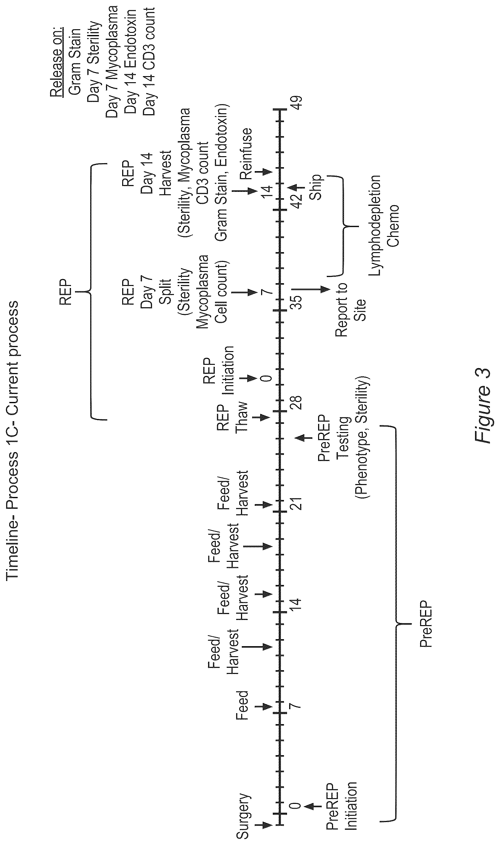 Patent US12611429 Figure 3 – Processes for production of tumor infiltrating lymphocytes and uses of same in immunotherapy