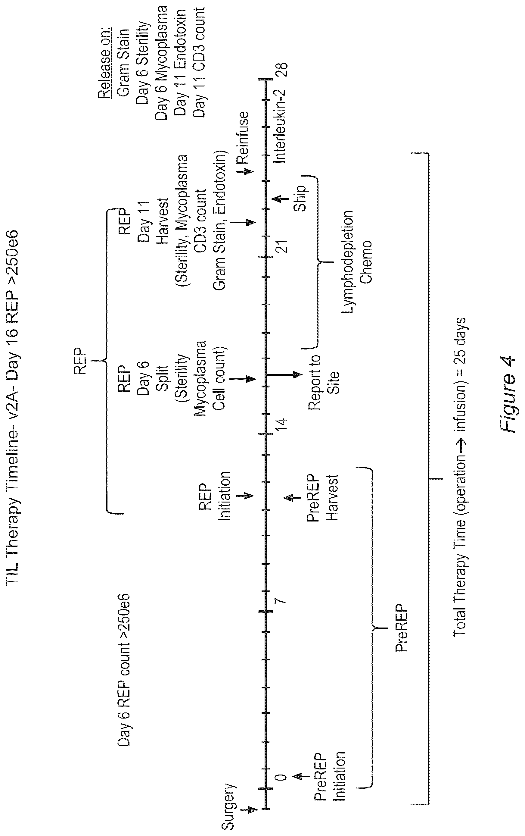 Patent US12611429 Figure 4 – Processes for production of tumor infiltrating lymphocytes and uses of same in immunotherapy